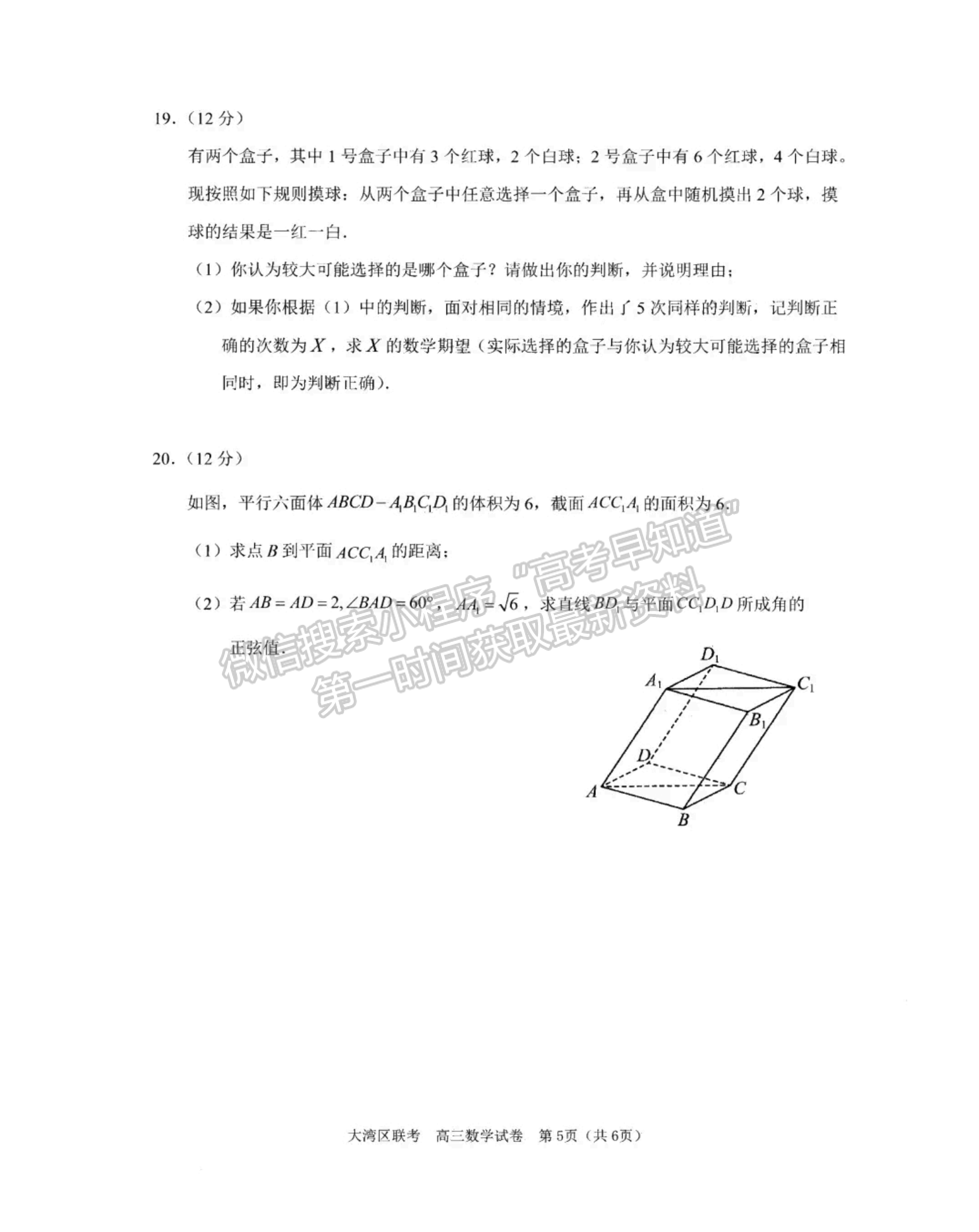 2024届广东大湾区普通高中高三联考（一）数学试题及答案