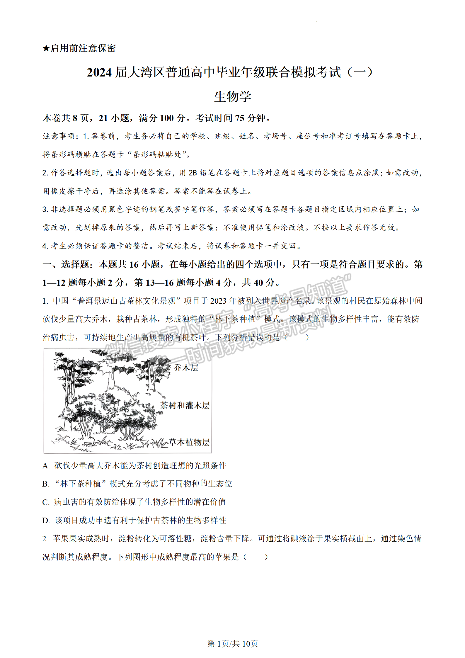 2024届广东大湾区普通高中高三联考（一）生物试题及答案