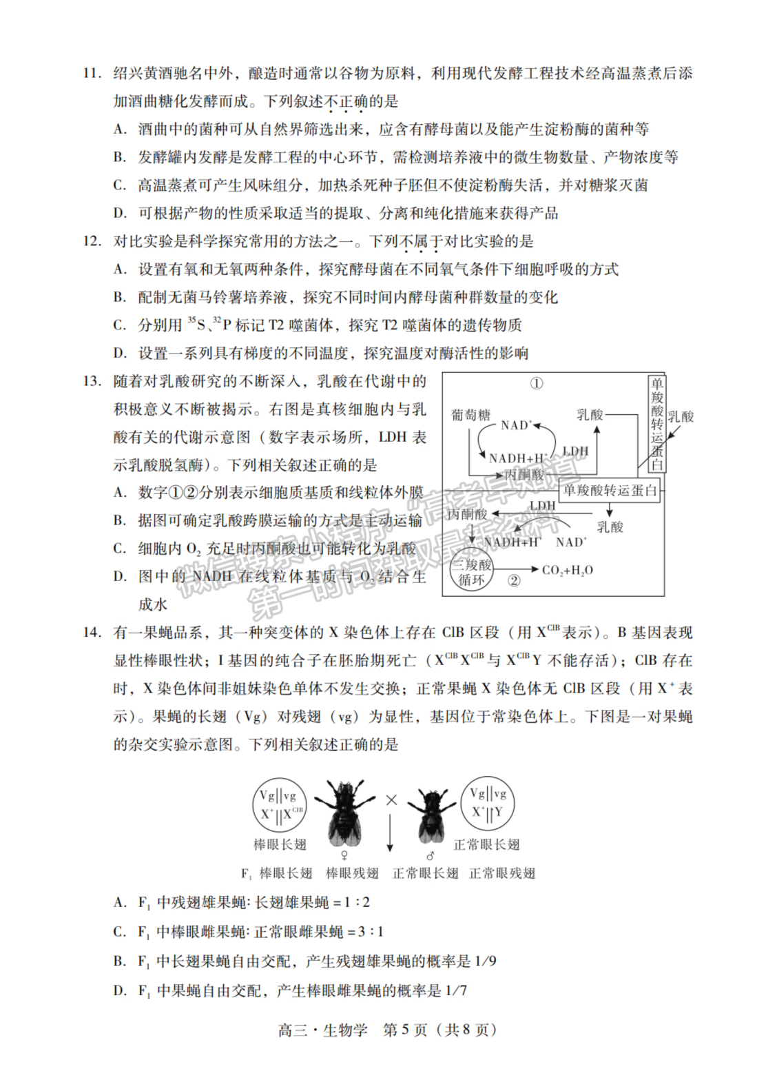 2024屆廣東省揭陽&汕尾市高三教學質量測試生物試題及答案