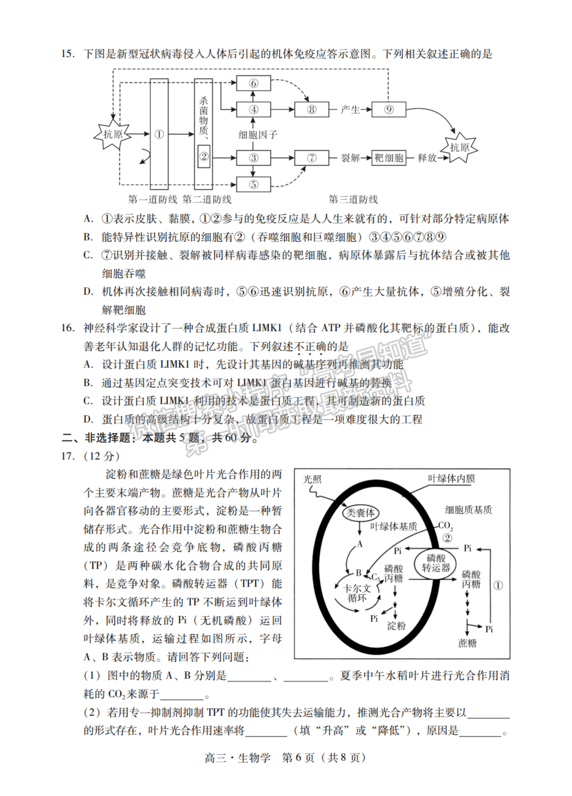 2024屆廣東省揭陽&汕尾市高三教學質量測試生物試題及答案