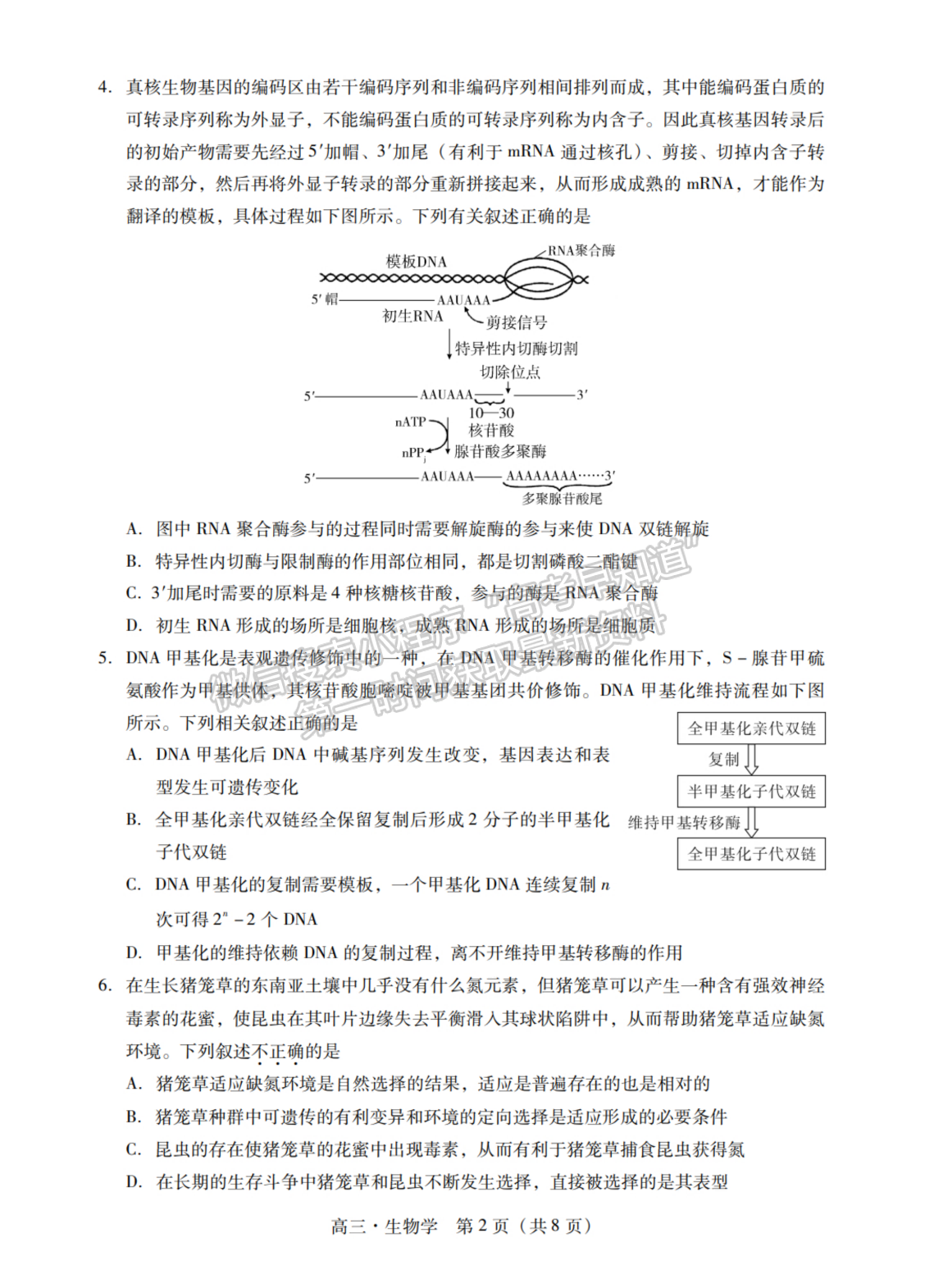 2024屆廣東省揭陽(yáng)&汕尾市高三教學(xué)質(zhì)量測(cè)試生物試題及答案