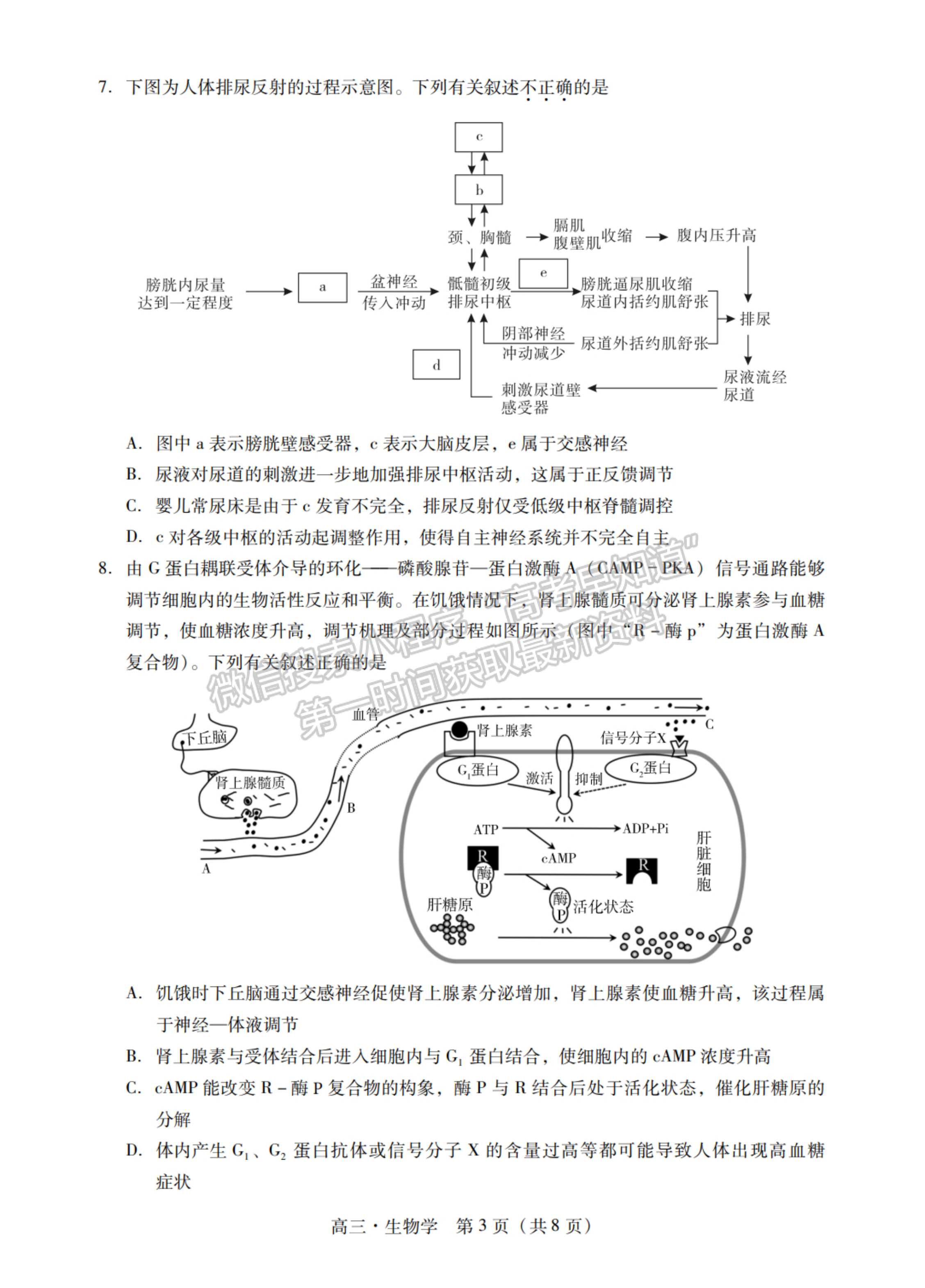 2024屆廣東省揭陽&汕尾市高三教學(xué)質(zhì)量測(cè)試生物試題及答案