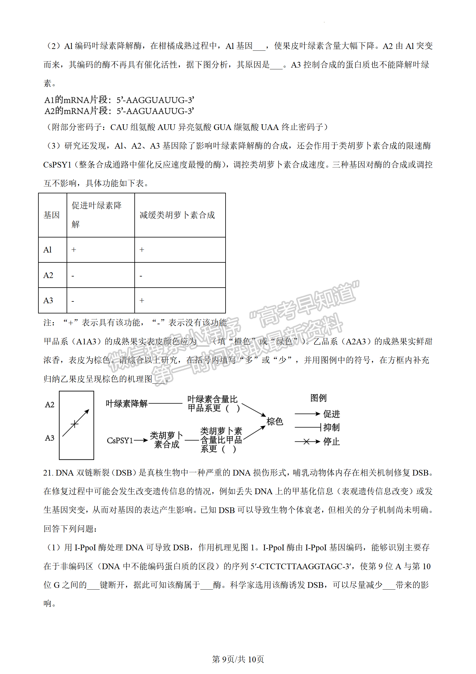 2024屆廣東大灣區(qū)普通高中高三聯(lián)考（一）生物試題及答案