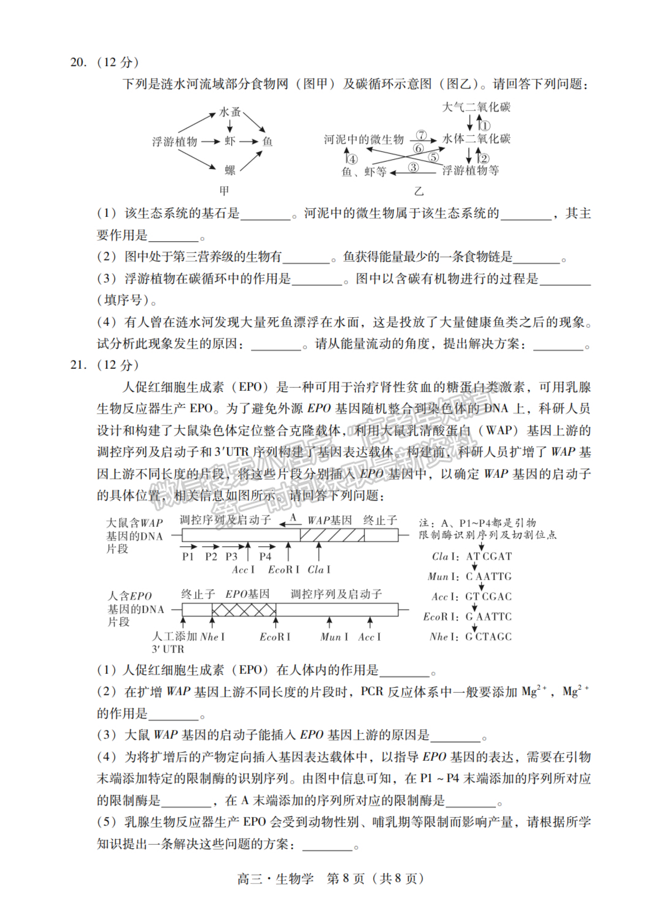 2024屆廣東省揭陽&汕尾市高三教學質量測試生物試題及答案