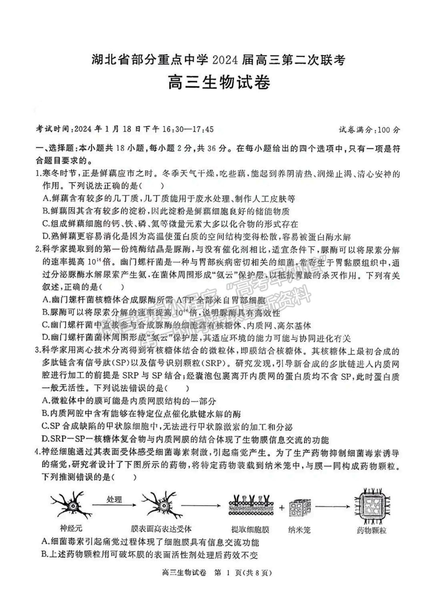 2024屆湖北省部分重點(diǎn)中學(xué)高三第二次聯(lián)考生物試題及答案