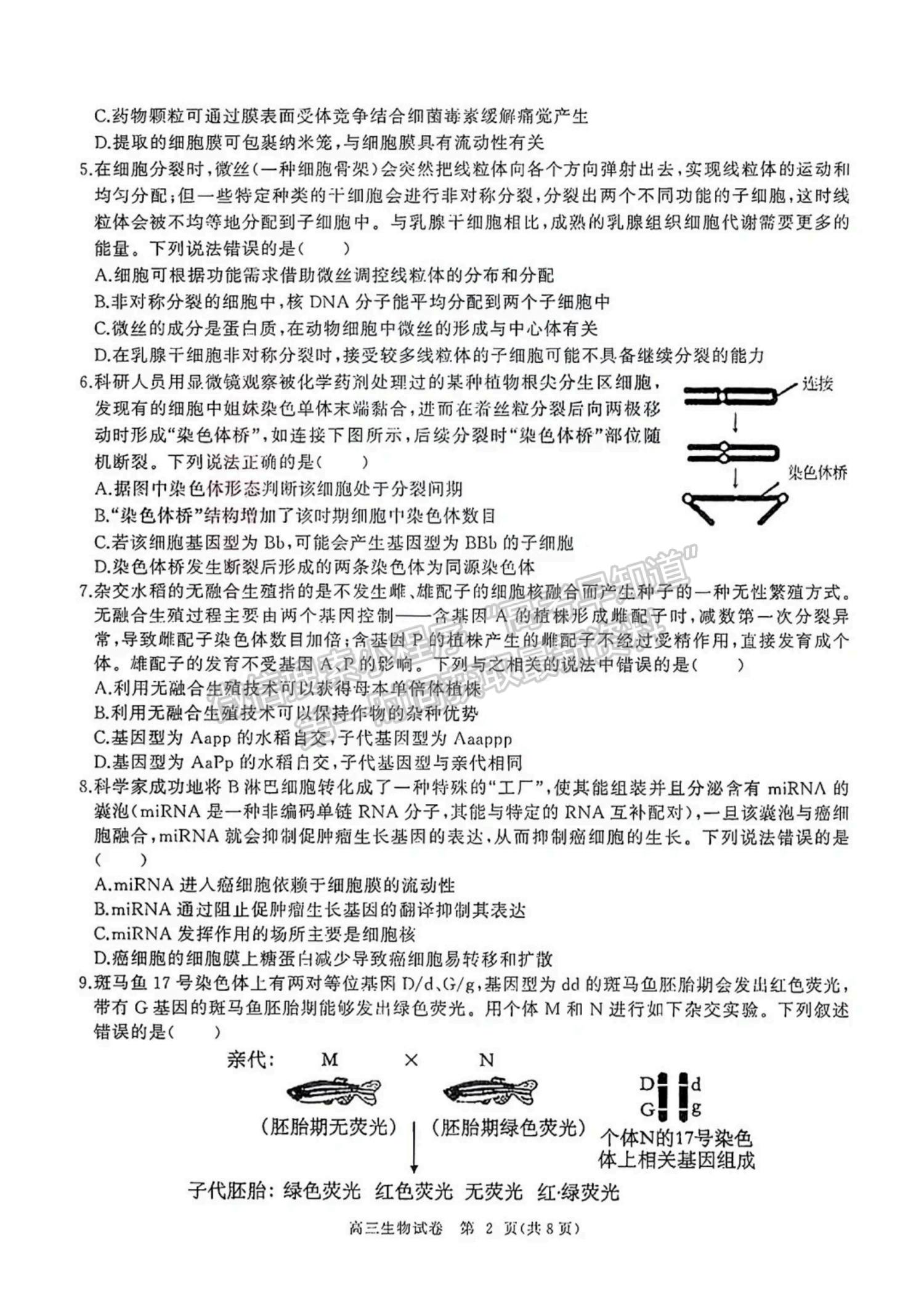 2024屆湖北省部分重點(diǎn)中學(xué)高三第二次聯(lián)考生物試題及答案