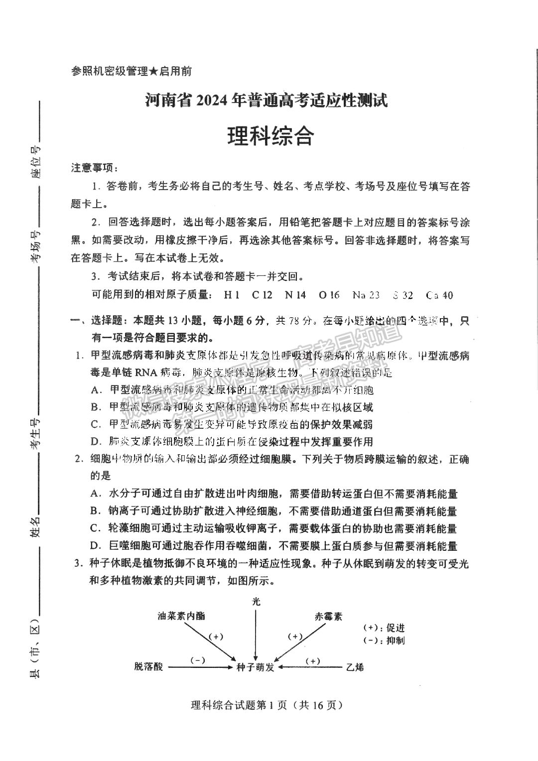 2024河南高三畢業(yè)班高考適應(yīng)性測(cè)試?yán)砭C試題及參考答案