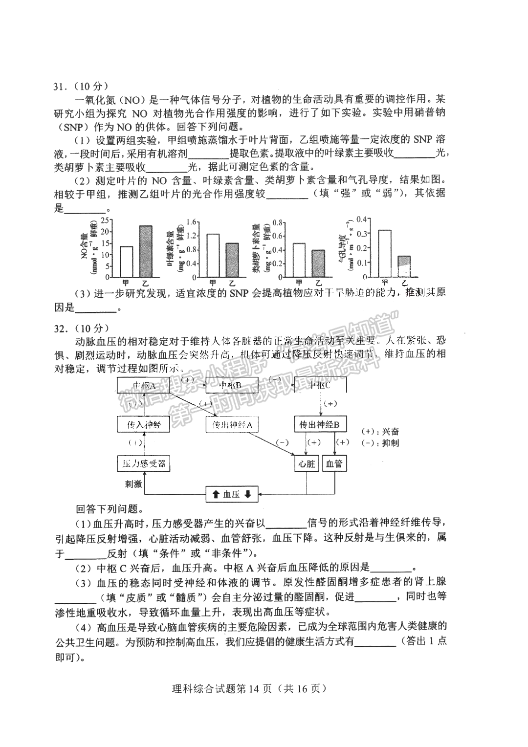 2024河南高三畢業(yè)班高考適應(yīng)性測(cè)試?yán)砭C試題及參考答案