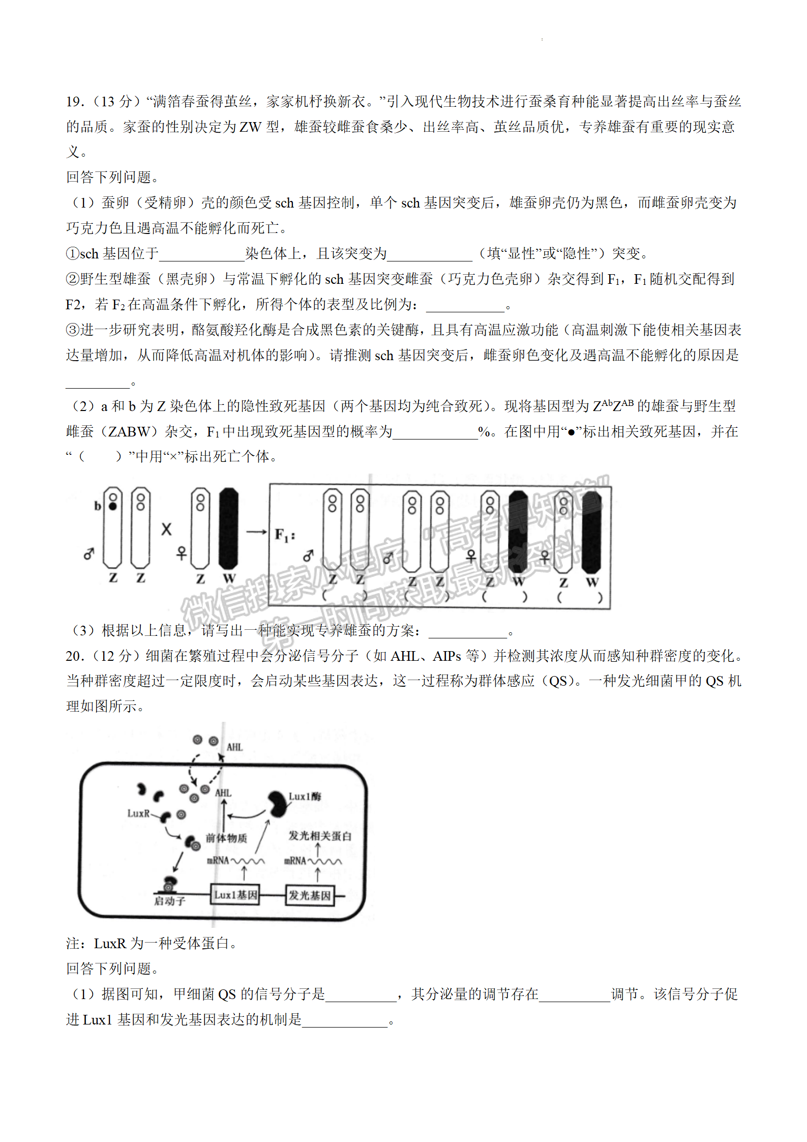 2024屆廣東省佛山市高三上學(xué)期教學(xué)質(zhì)量檢測（一）生物試題及答案