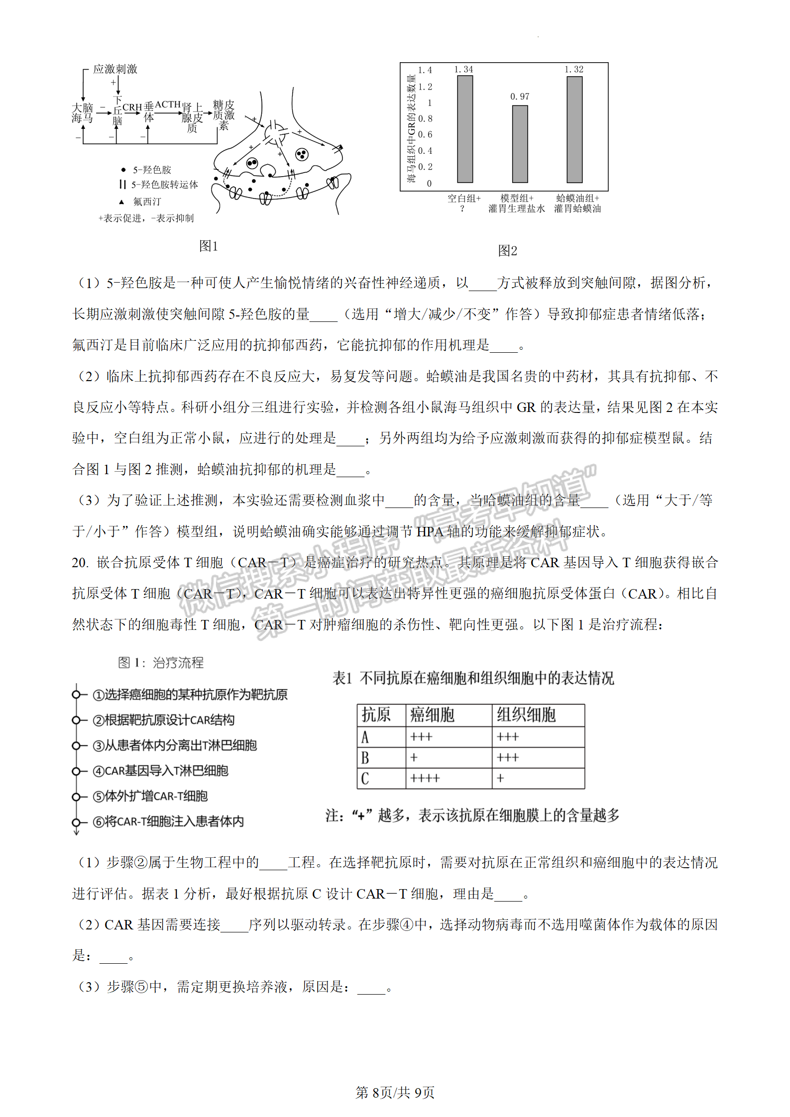 2024屆廣東省惠州市高三上學(xué)期第三次調(diào)研生物試題及答案