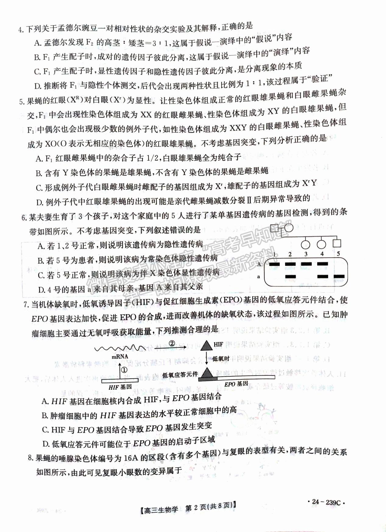 2024屆湖北省十堰市高三上學期1月調(diào)研（24-239C）生物試題及答案