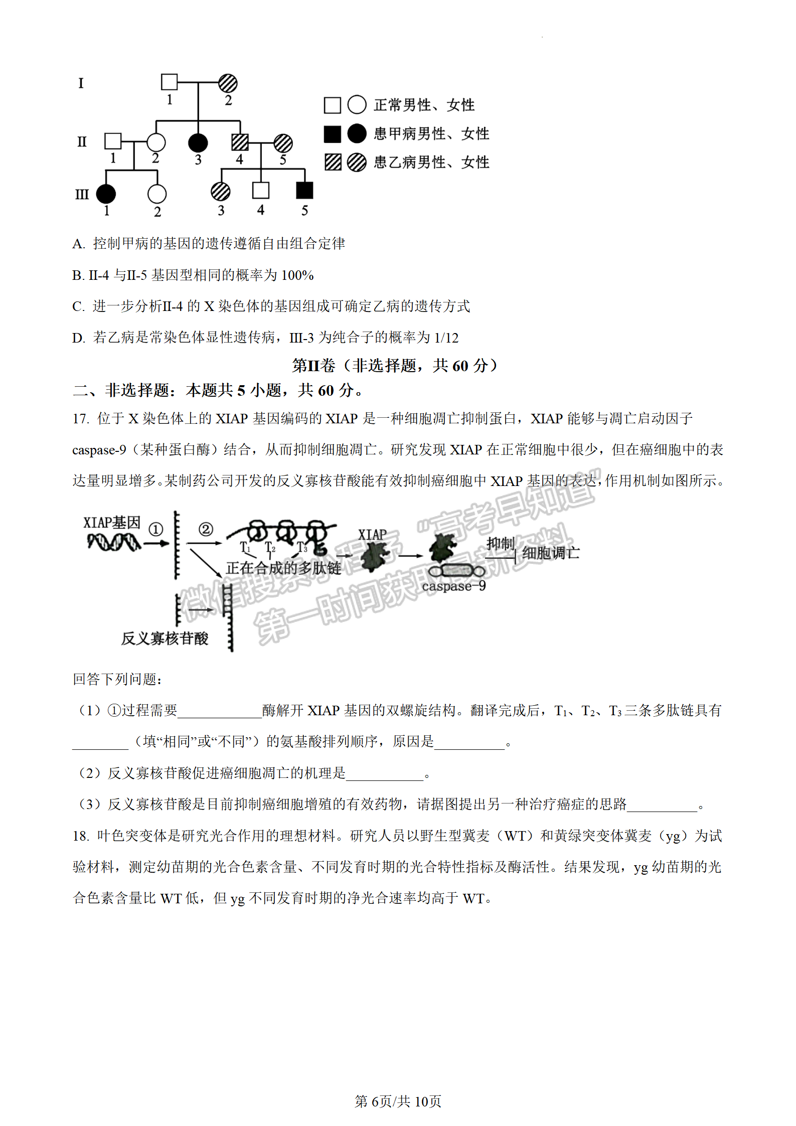 2024届广东省东莞市高三上学期期末考试生物试题及答案