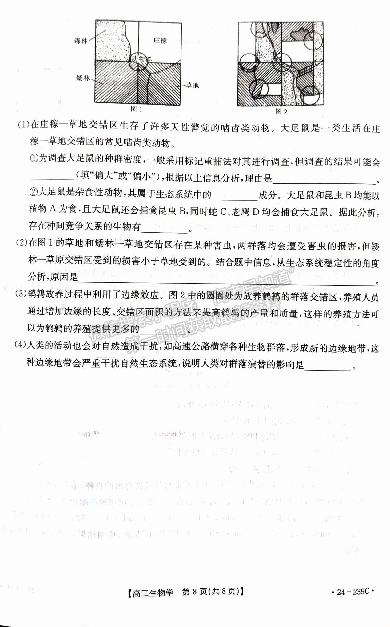 2024屆湖北省十堰市高三上學(xué)期1月調(diào)研（24-239C）生物試題及答案