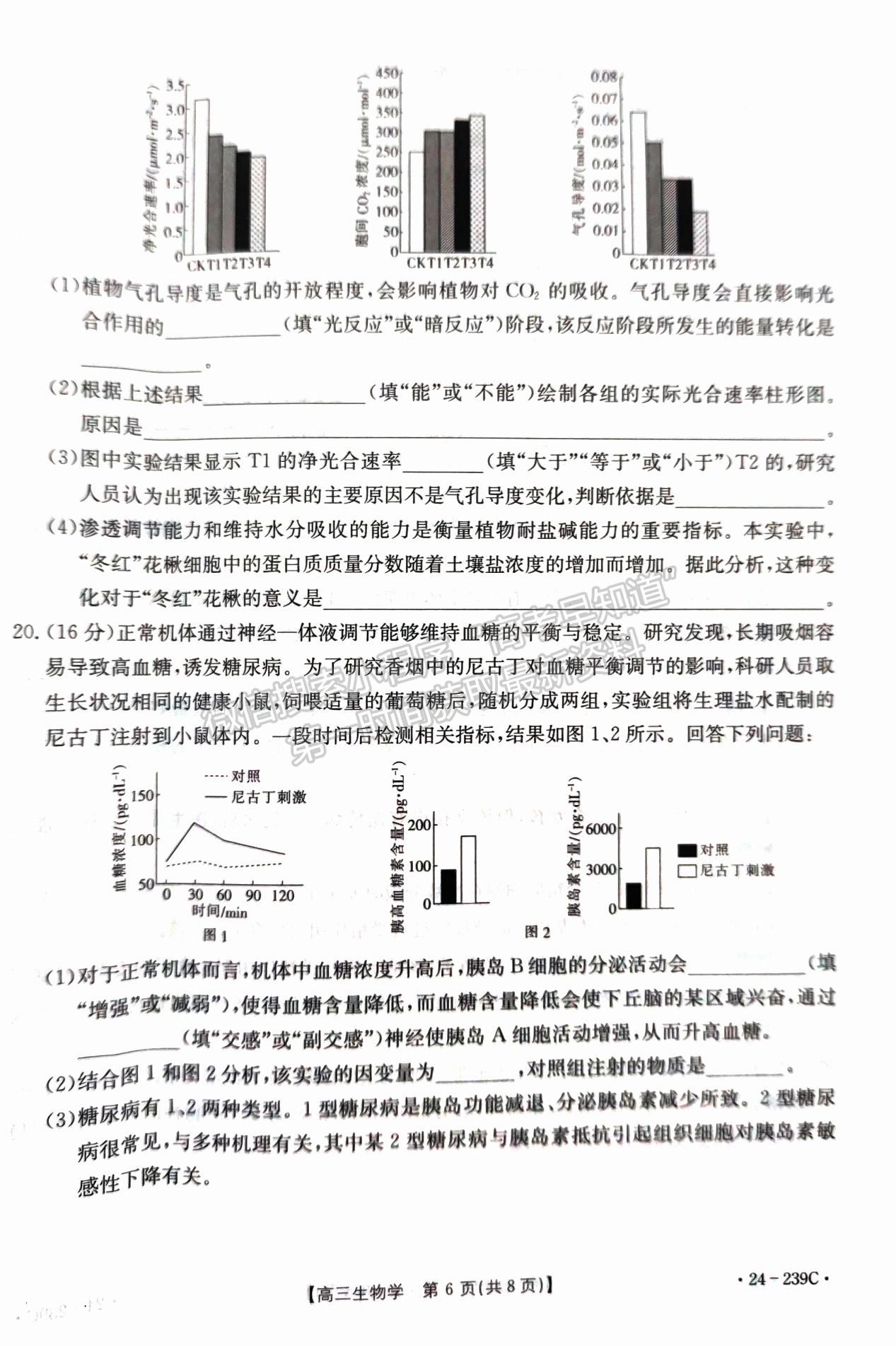 2024屆湖北省十堰市高三上學(xué)期1月調(diào)研（24-239C）生物試題及答案