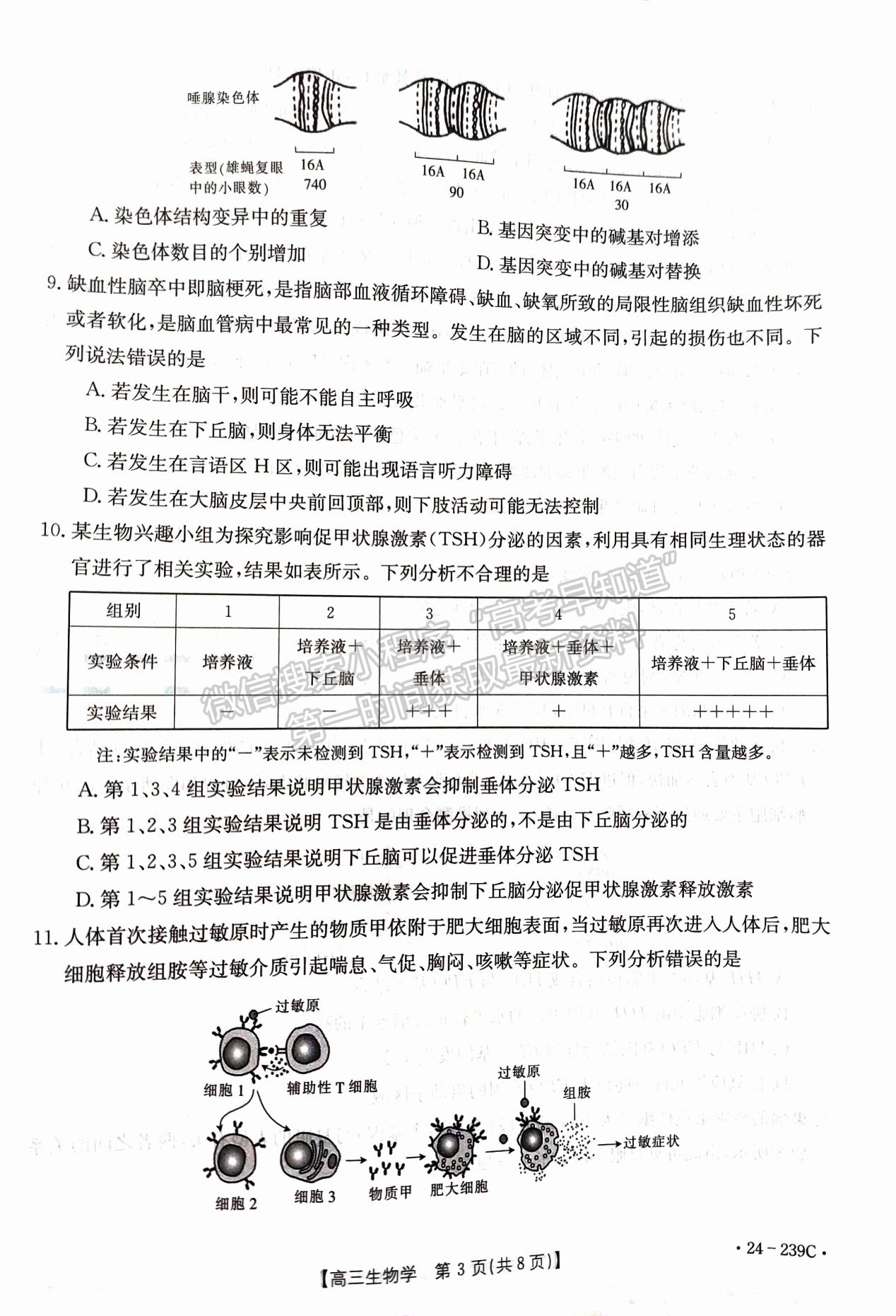 2024屆湖北省十堰市高三上學期1月調(diào)研（24-239C）生物試題及答案