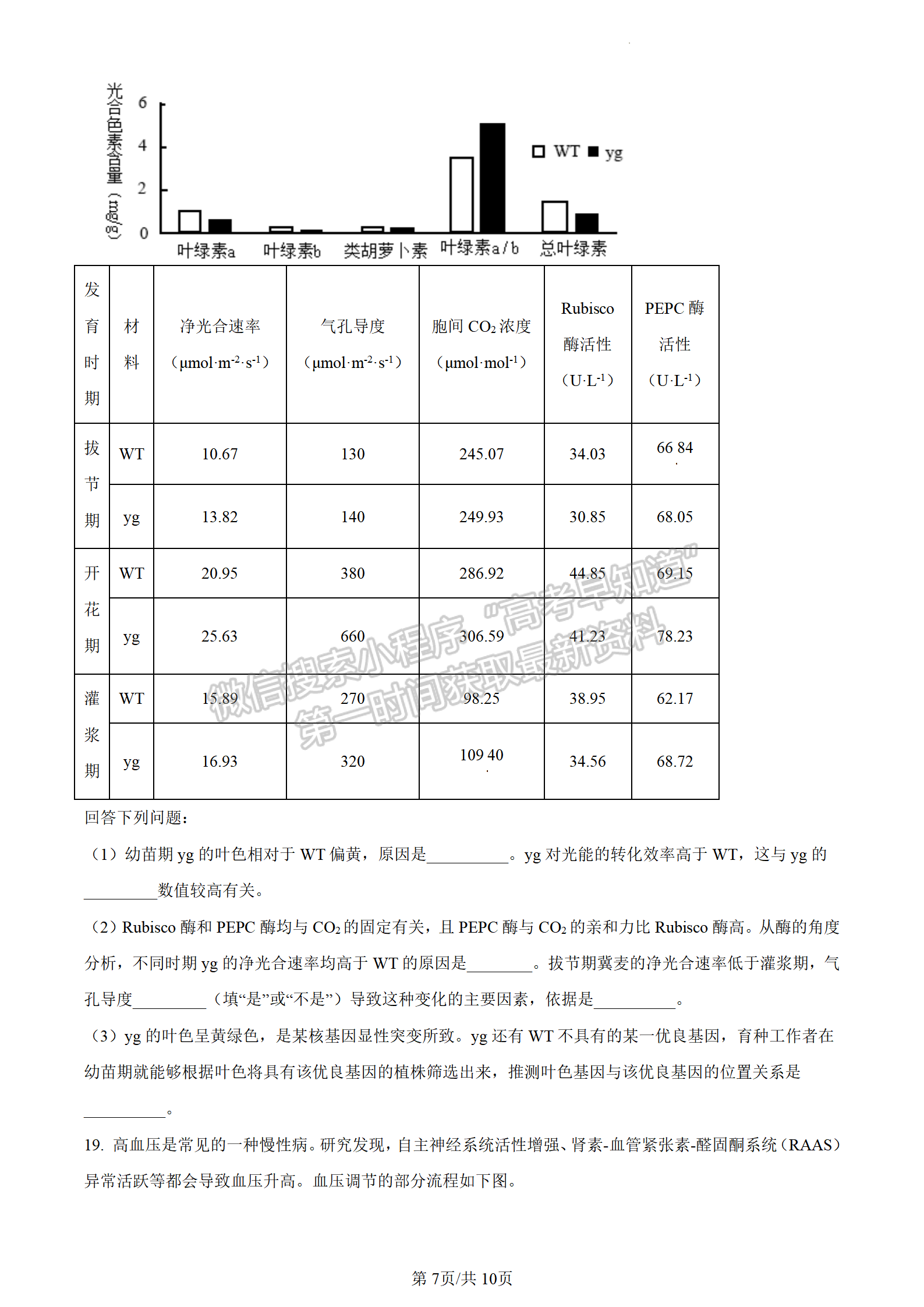 2024届广东省东莞市高三上学期期末考试生物试题及答案