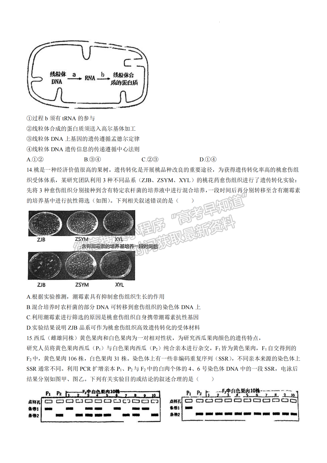 2024泉州二檢生物試卷及參考答案