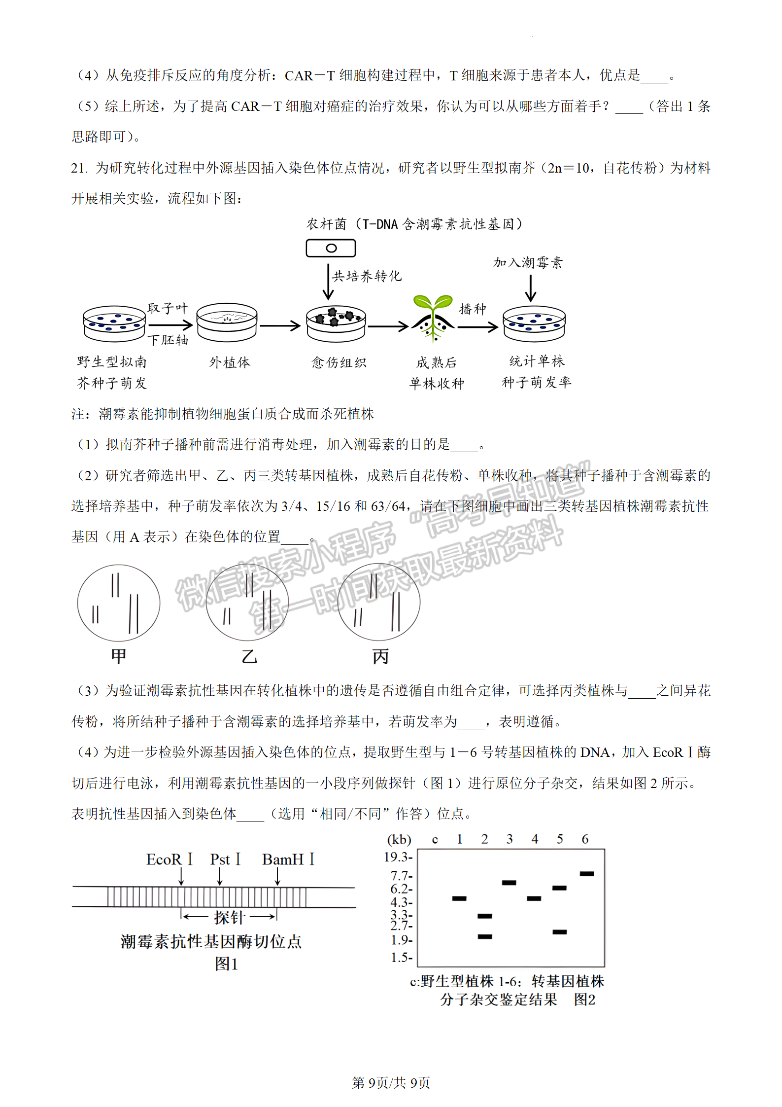 2024屆廣東省惠州市高三上學(xué)期第三次調(diào)研生物試題及答案