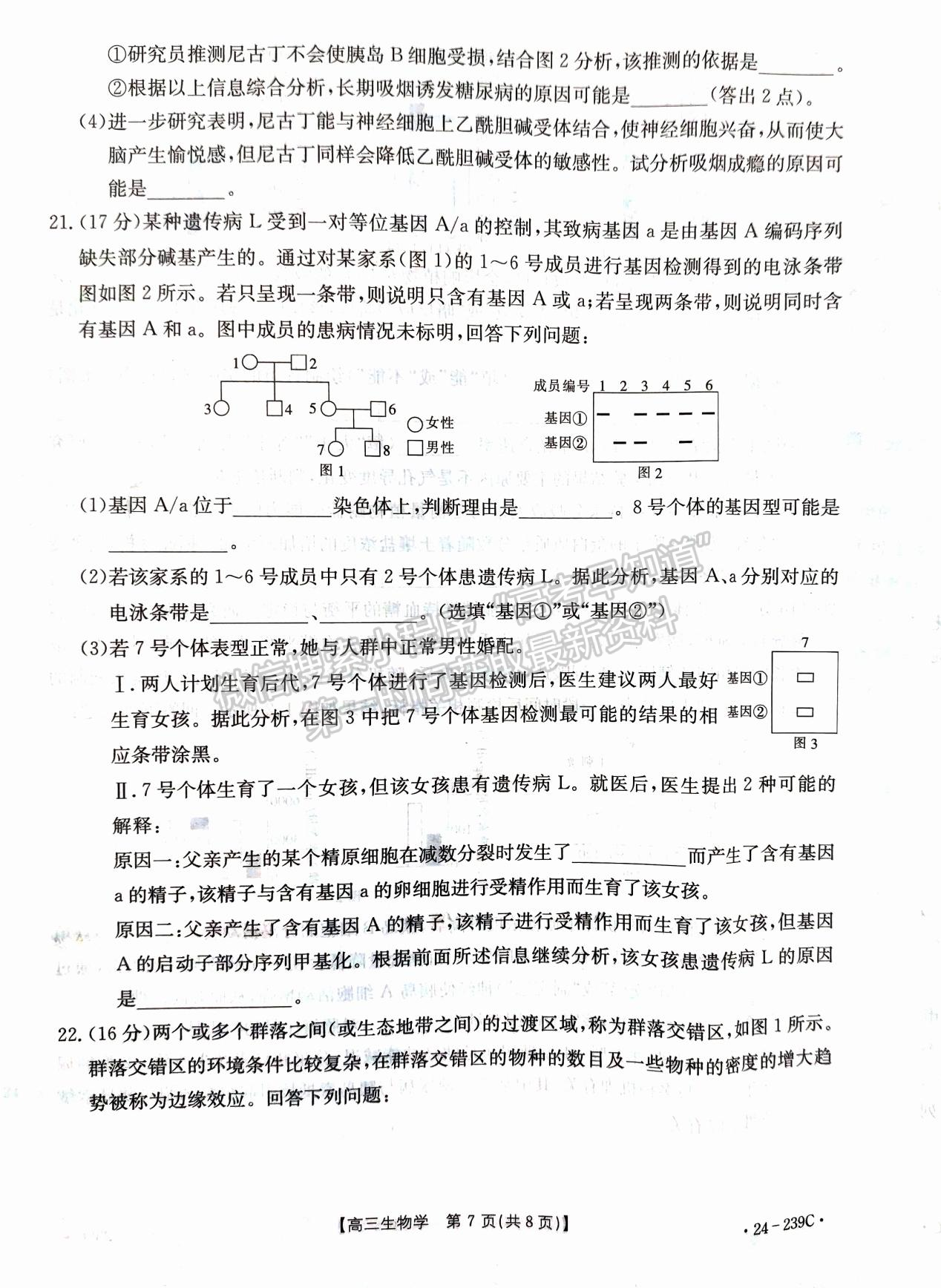 2024屆湖北省十堰市高三上學(xué)期1月調(diào)研（24-239C）生物試題及答案