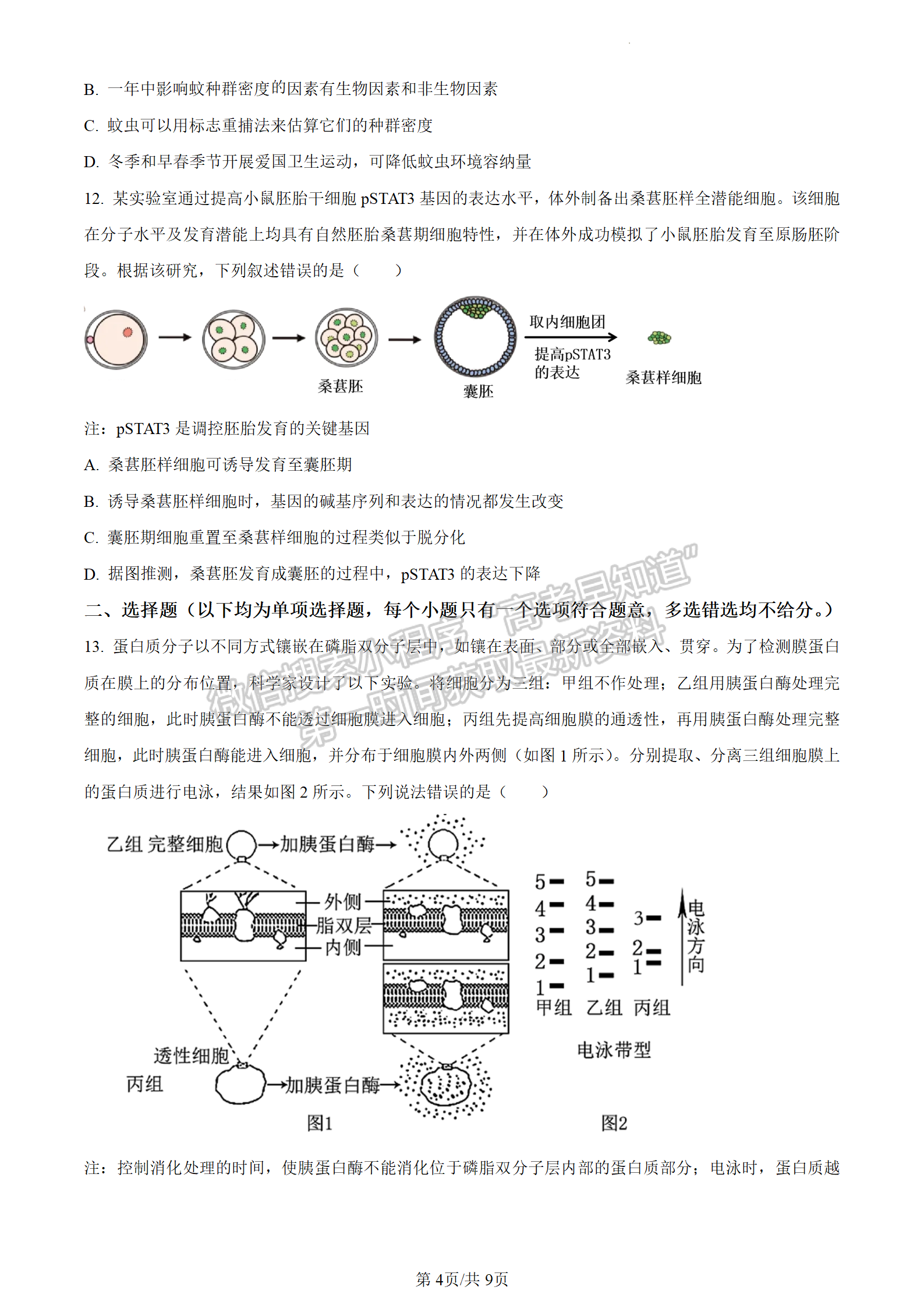 2024屆廣東省惠州市高三上學(xué)期第三次調(diào)研生物試題及答案