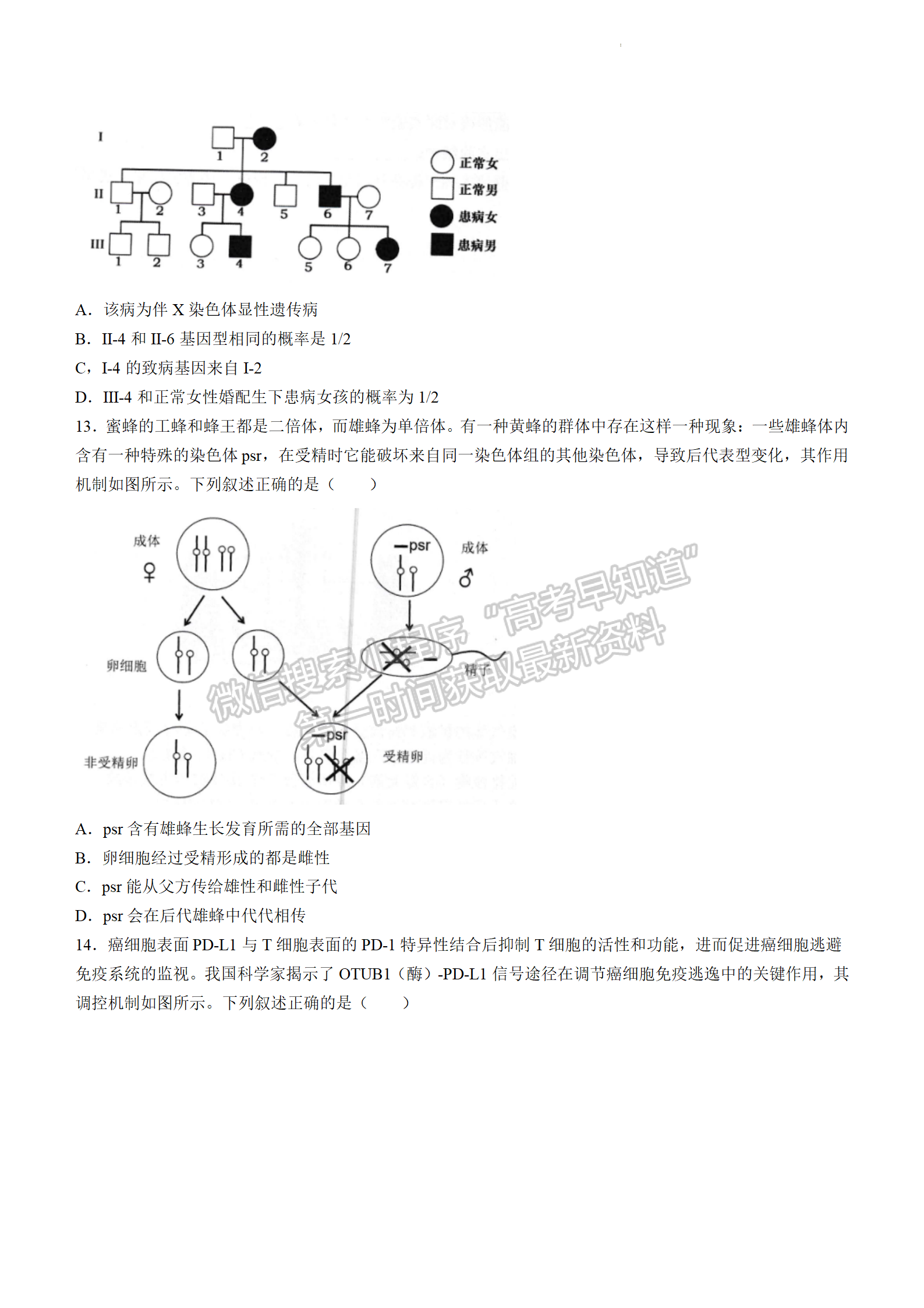 2024屆廣東省佛山市高三上學(xué)期教學(xué)質(zhì)量檢測(cè)（一）生物試題及答案