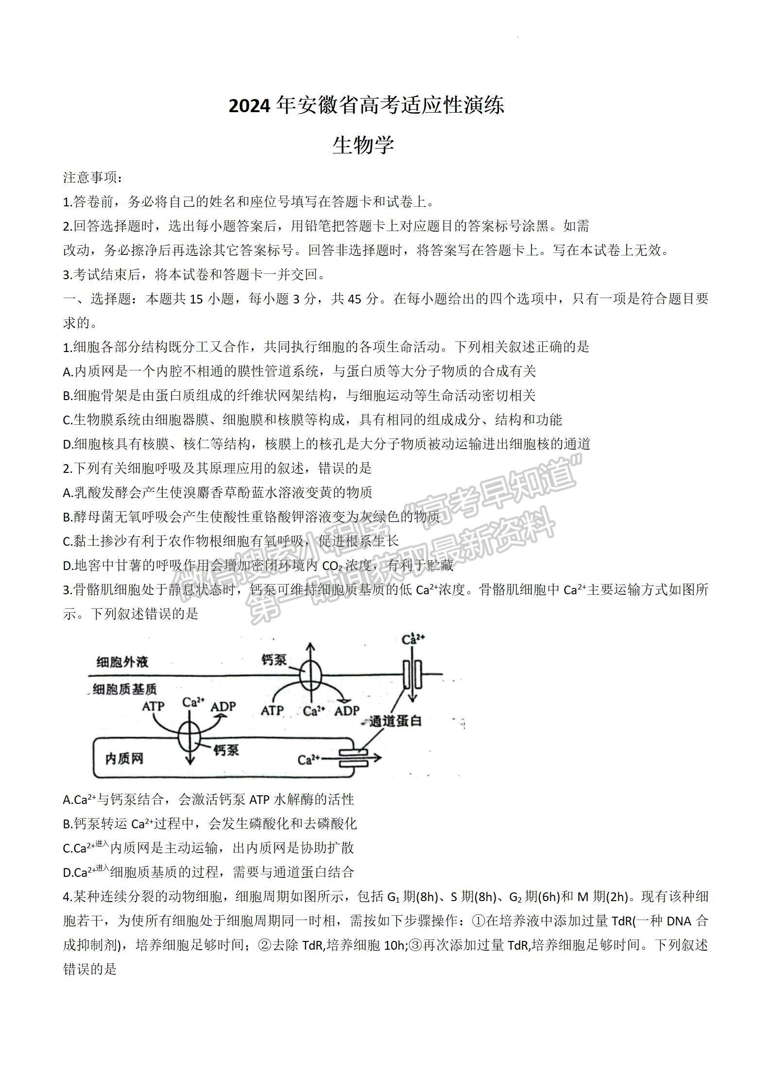 2024新高考七省联考【安徽卷】生物试题及参考答案