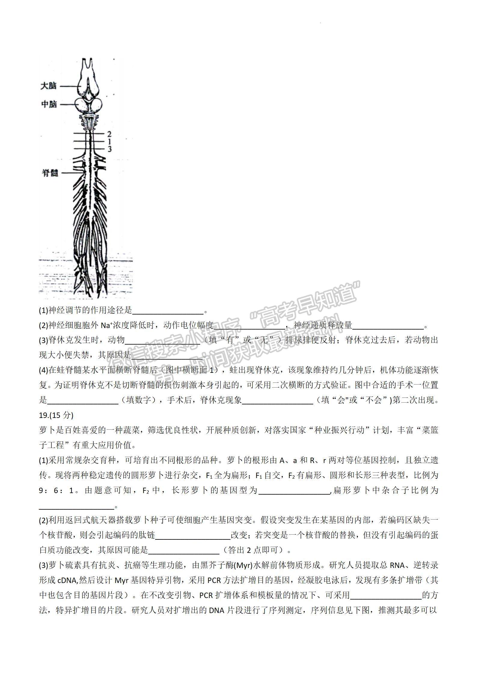 2024新高考七省联考【安徽卷】生物试题及参考答案