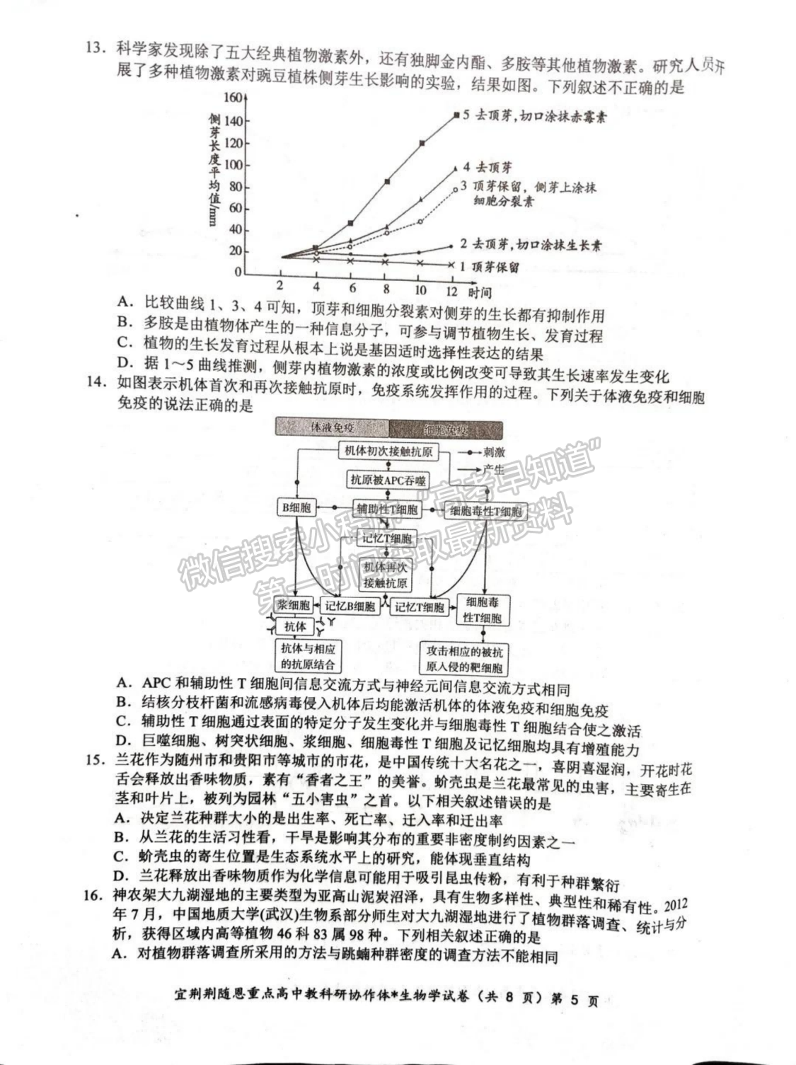 2024届湖北省宜荆荆随恩高三1月联考生物试题及答案