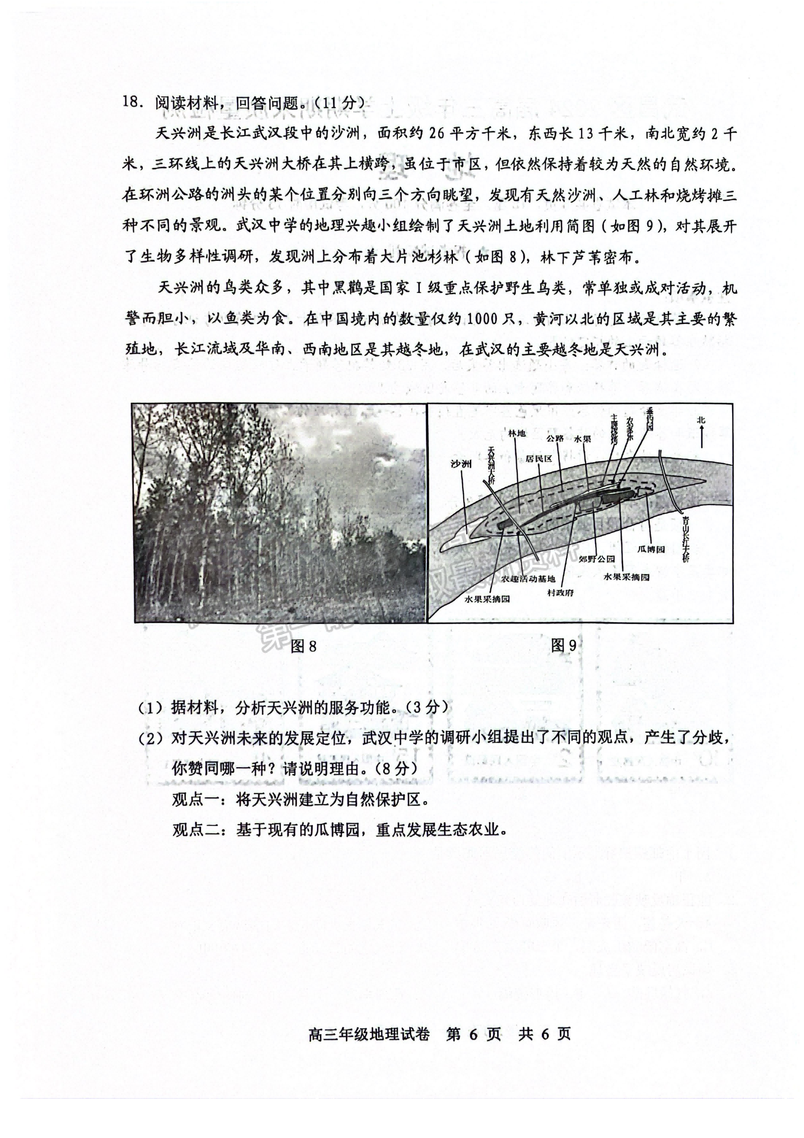 2024屆湖北省武漢市武昌區(qū)高三上學(xué)期期末質(zhì)量檢測地理試題及答案