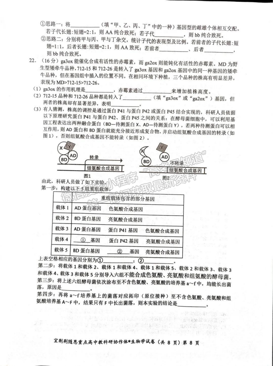 2024届湖北省宜荆荆随恩高三1月联考生物试题及答案