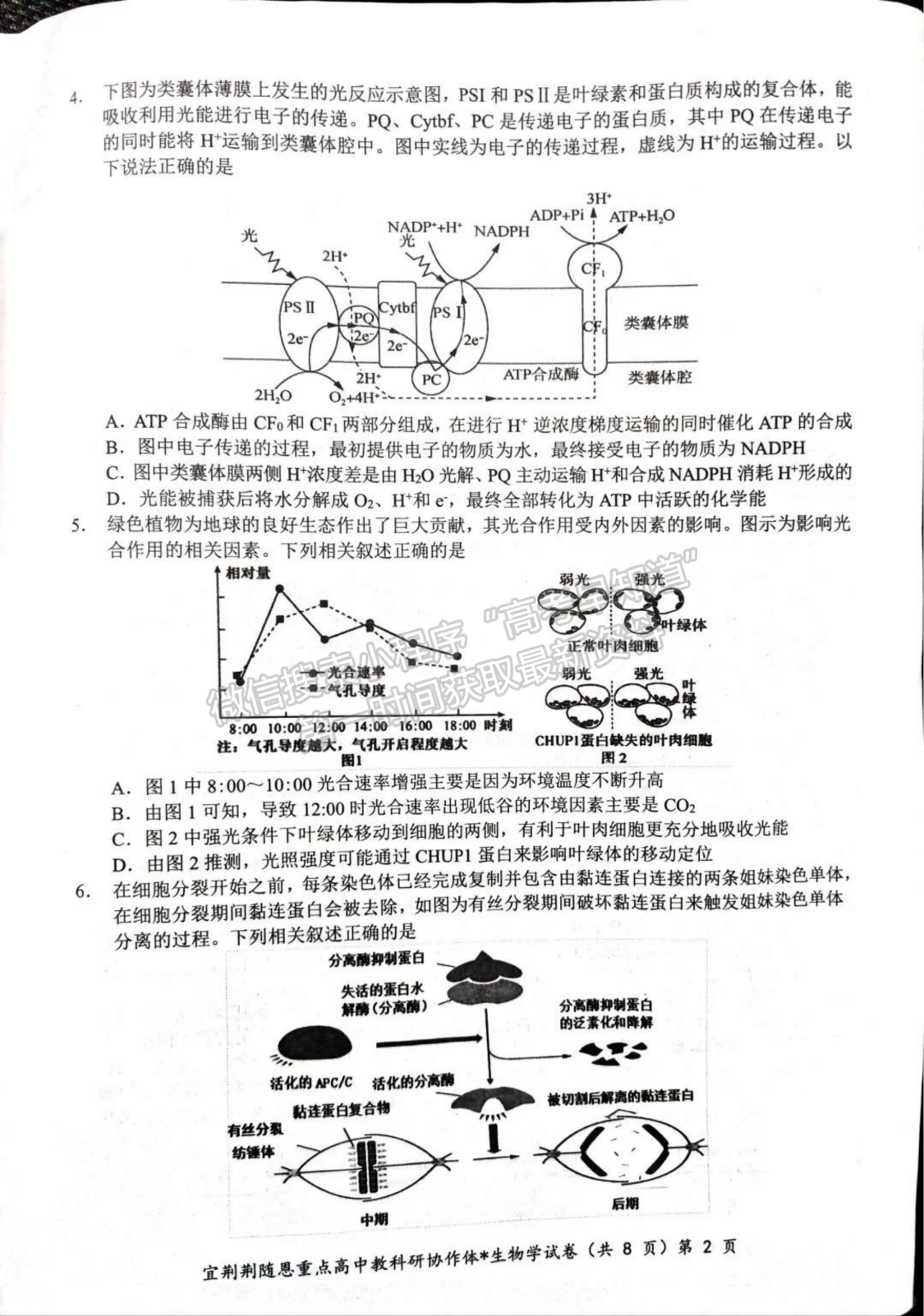 2024届湖北省宜荆荆随恩高三1月联考生物试题及答案