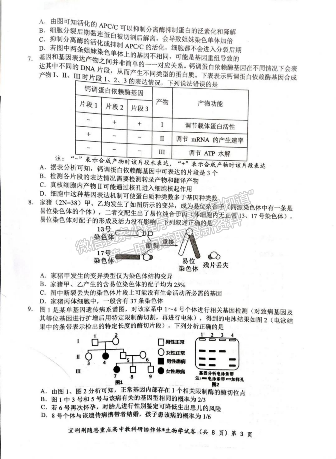 2024届湖北省宜荆荆随恩高三1月联考生物试题及答案