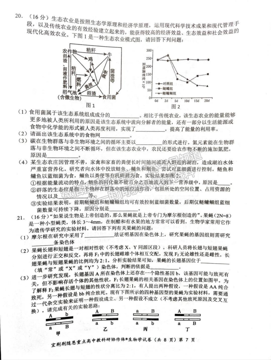 2024届湖北省宜荆荆随恩高三1月联考生物试题及答案