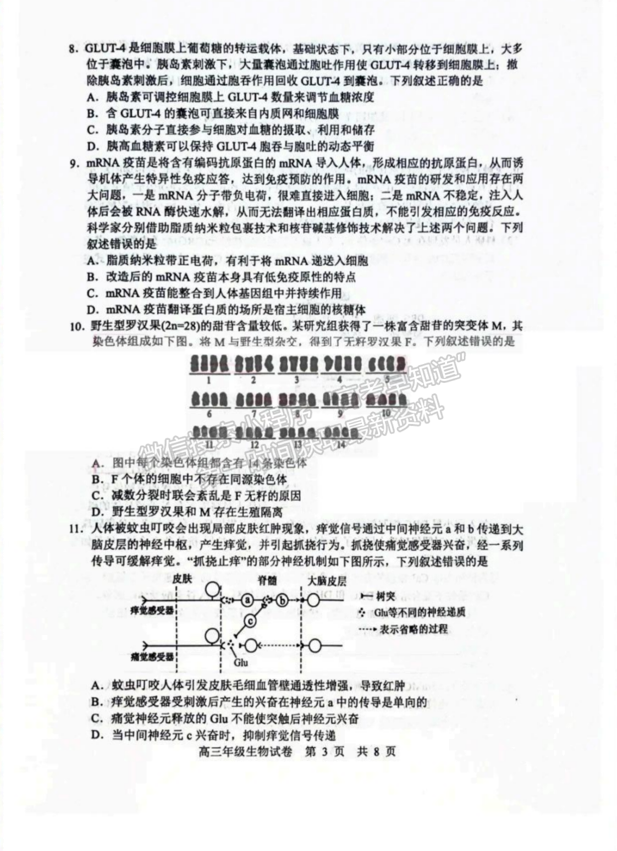 2024屆湖北省武漢市武昌區(qū)高三上學(xué)期期末質(zhì)量檢測生物試題及答案