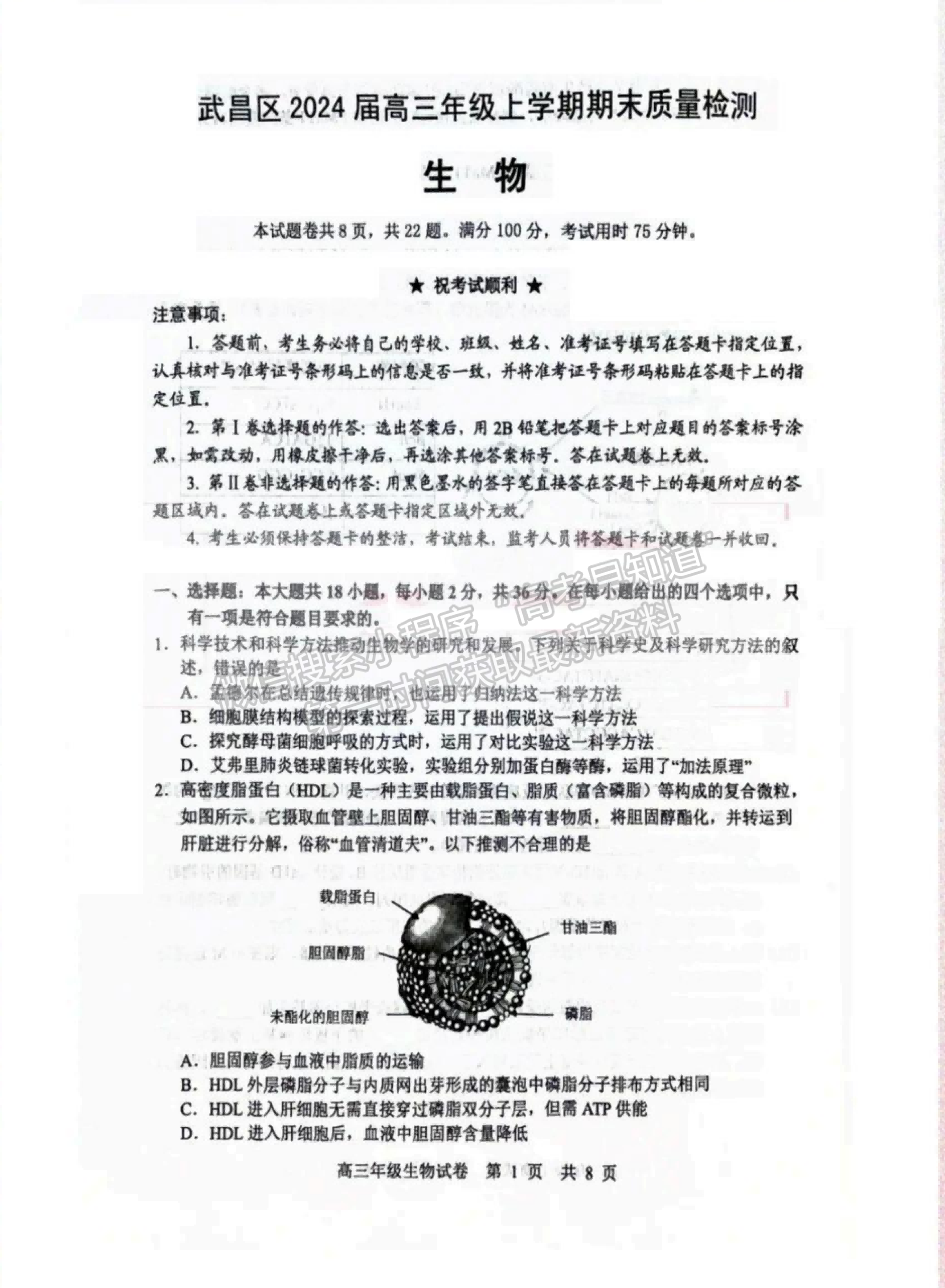 2024屆湖北省武漢市武昌區(qū)高三上學(xué)期期末質(zhì)量檢測(cè)生物試題及答案