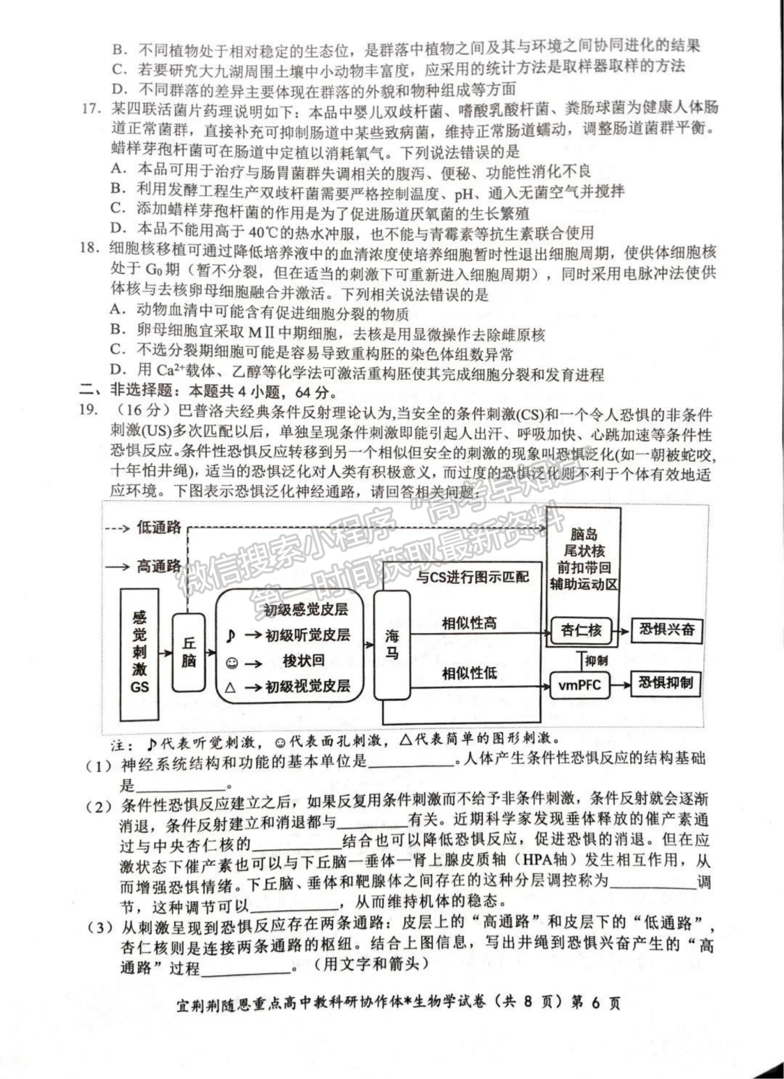 2024届湖北省宜荆荆随恩高三1月联考生物试题及答案