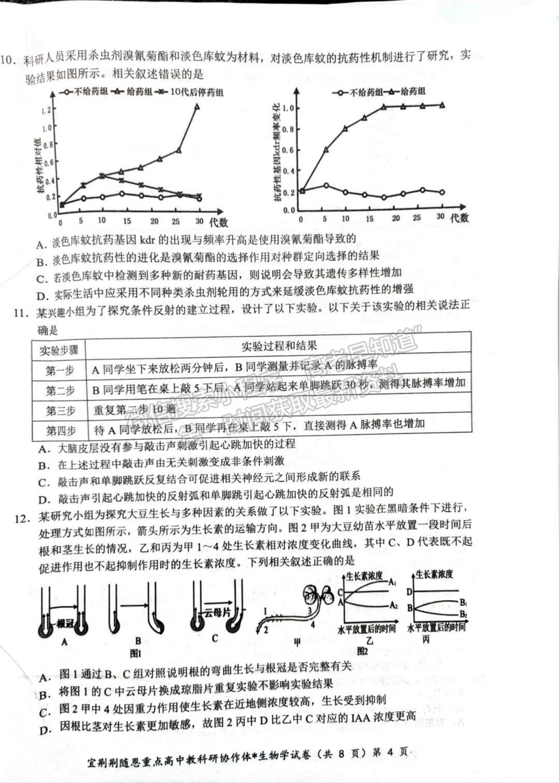 2024届湖北省宜荆荆随恩高三1月联考生物试题及答案