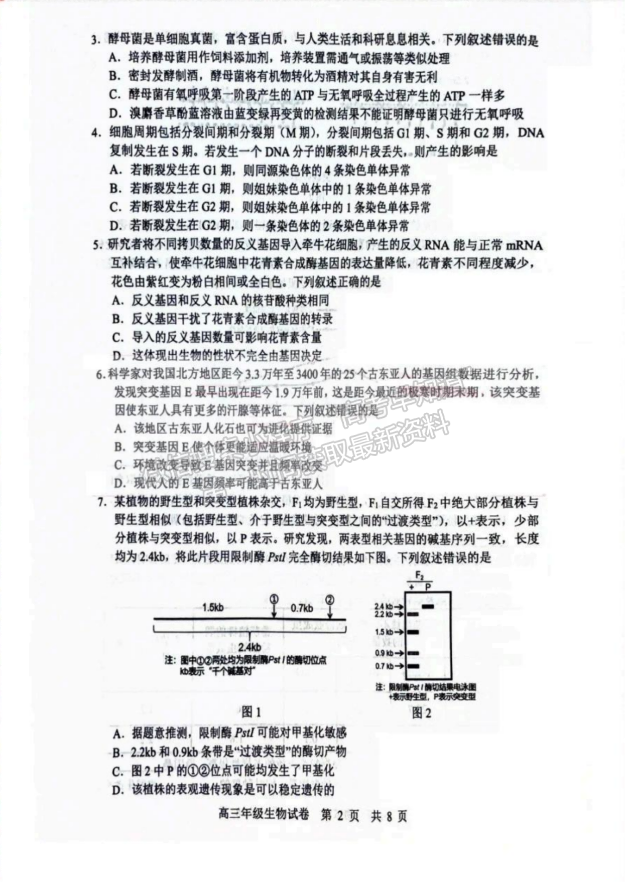 2024屆湖北省武漢市武昌區(qū)高三上學(xué)期期末質(zhì)量檢測生物試題及答案