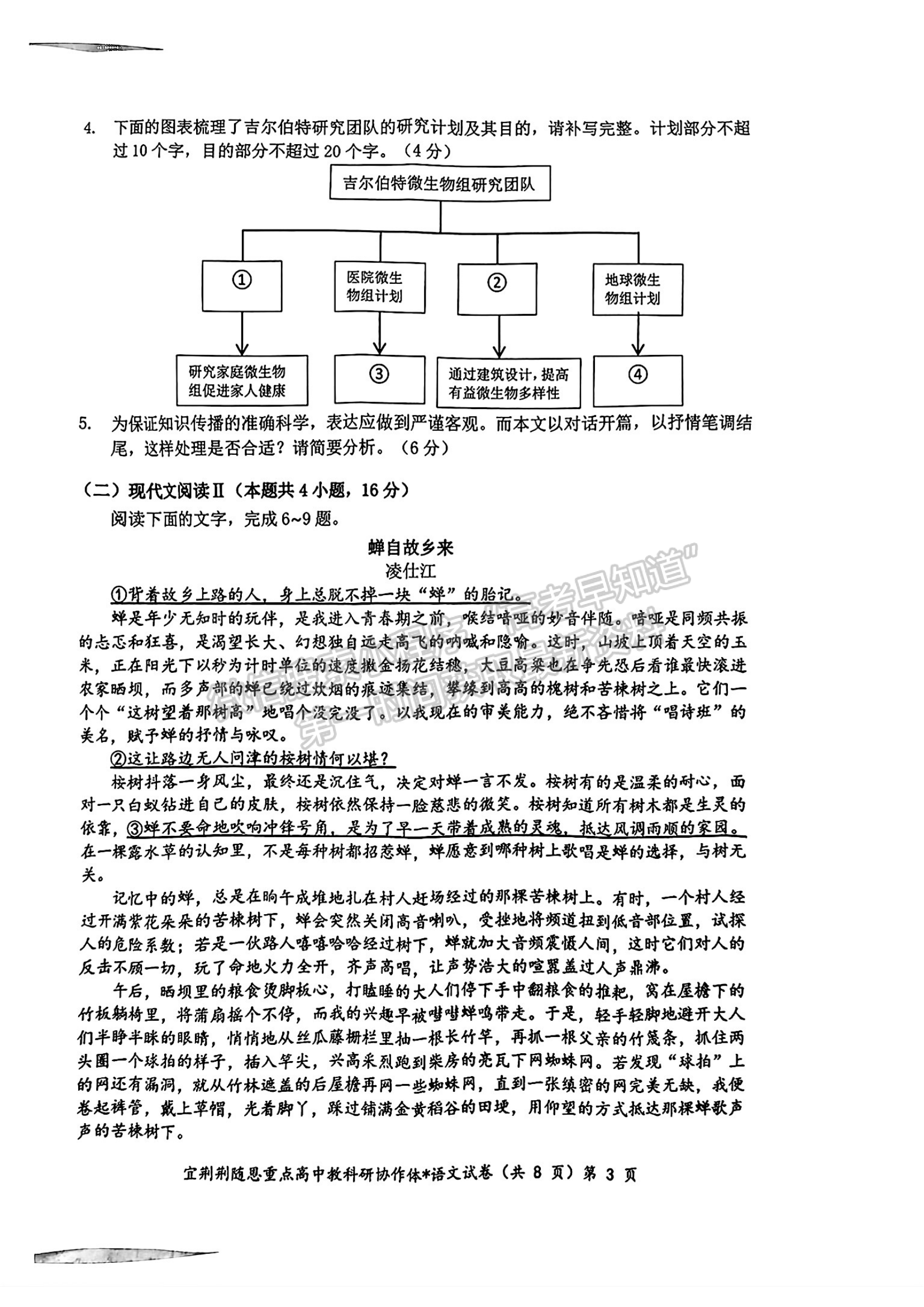 2024届湖北省宜荆荆随恩高三1月联考语文试题及答案