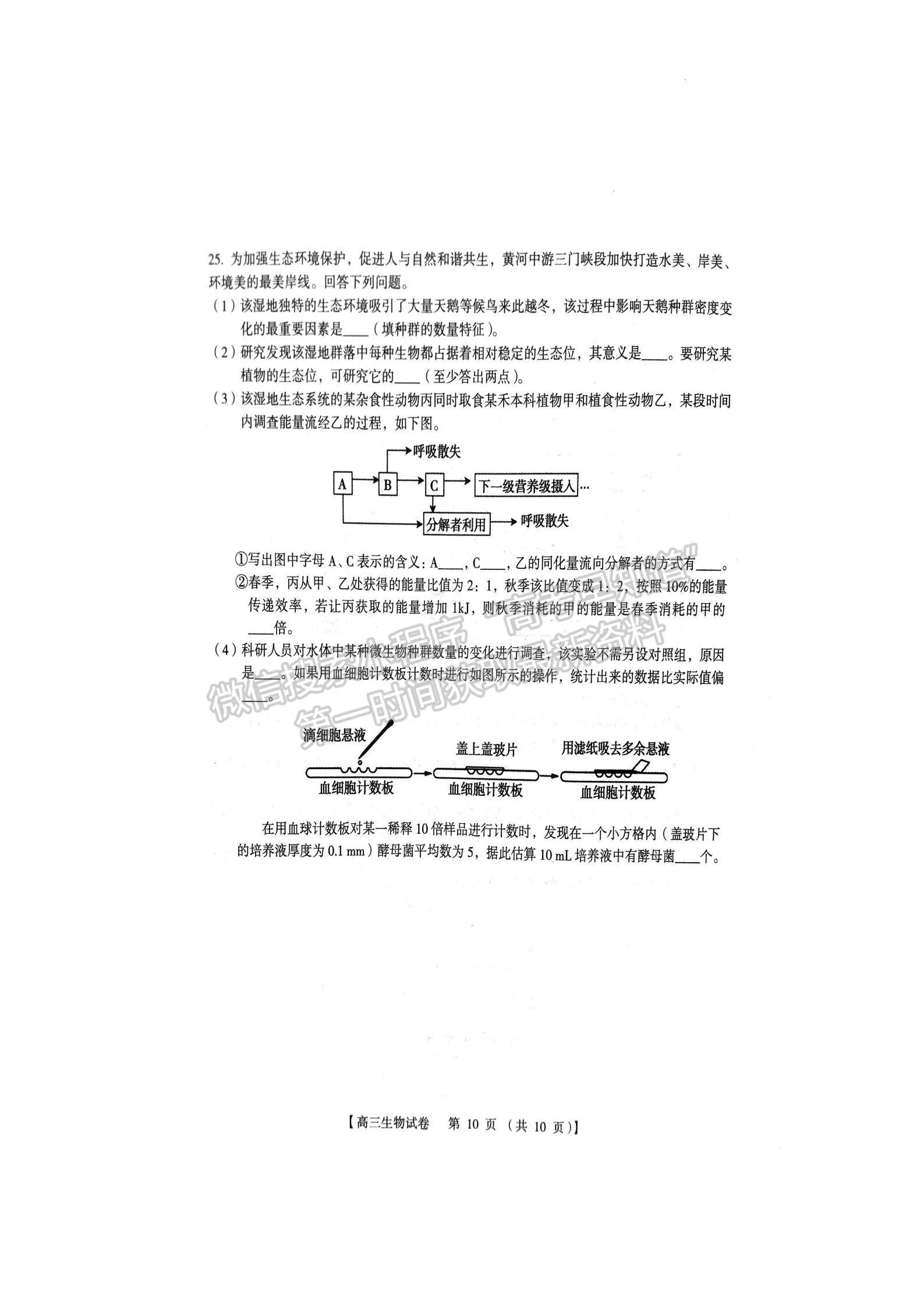 三门峡市2023-2024学年全市高三上学期期末教学质量检测生物试卷及参考答案