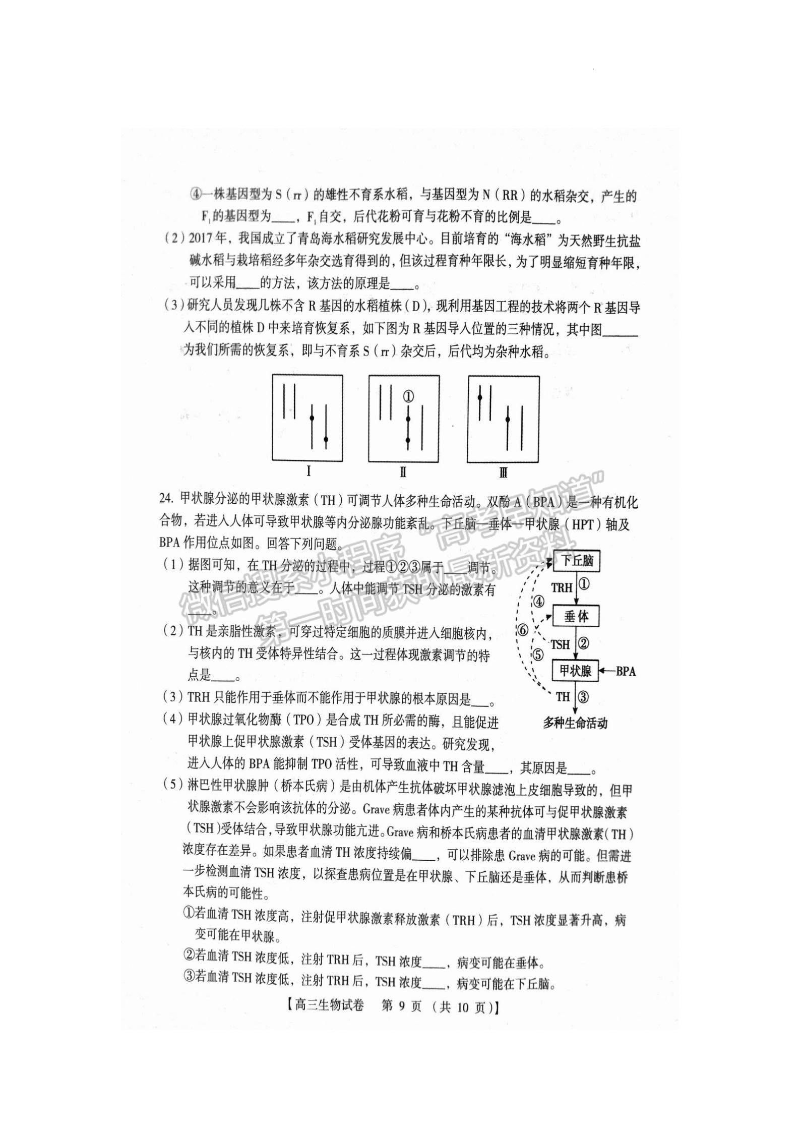 三门峡市2023-2024学年全市高三上学期期末教学质量检测生物试卷及参考答案