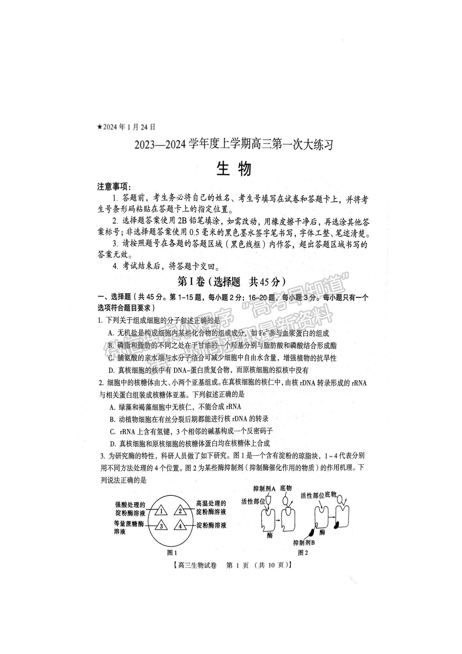 三门峡市2023-2024学年全市高三上学期期末教学质量检测生物试卷及参考答案