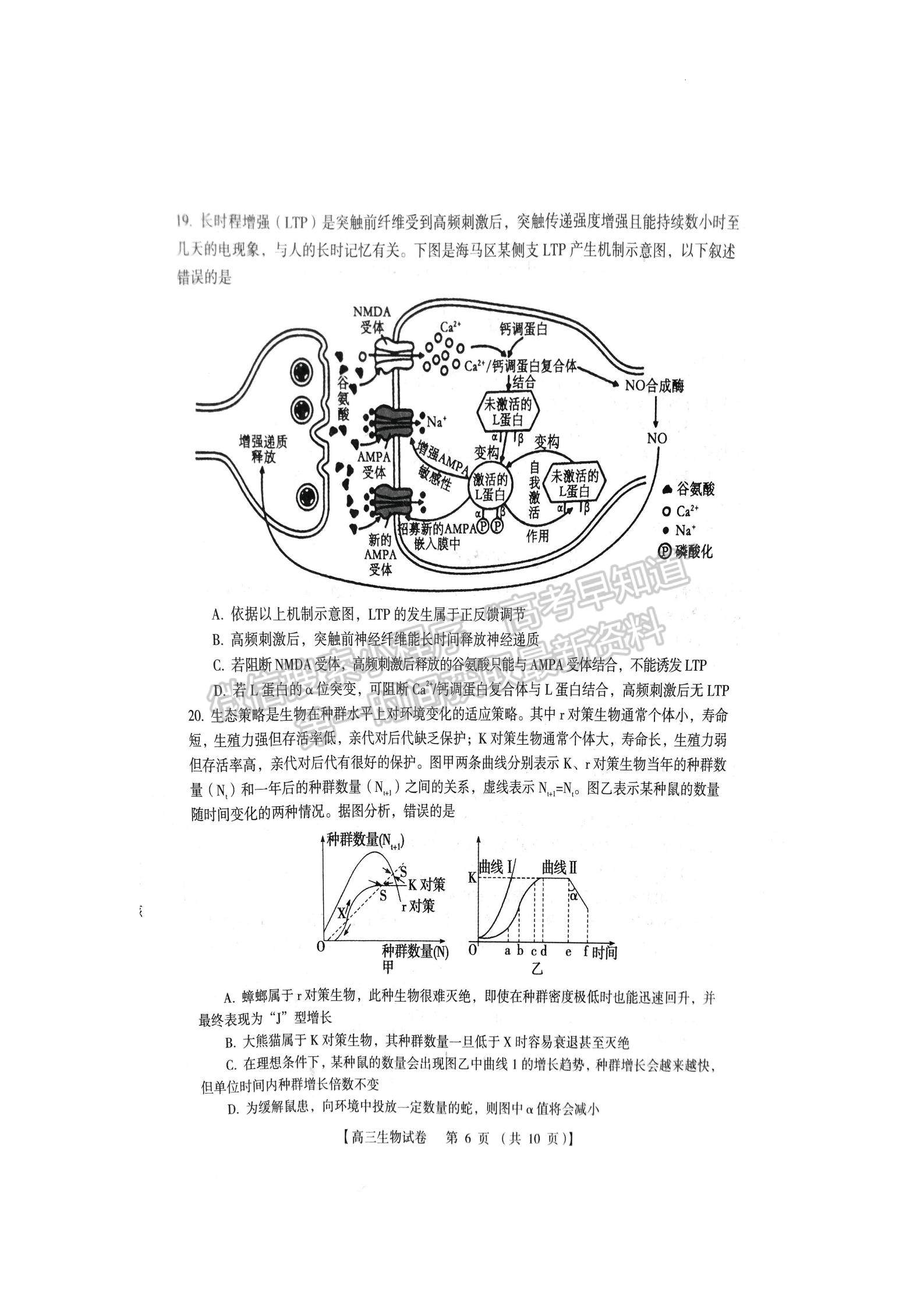 三门峡市2023-2024学年全市高三上学期期末教学质量检测生物试卷及参考答案