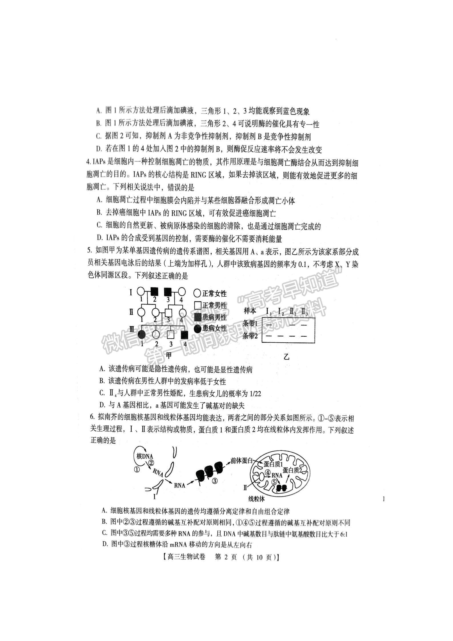 三门峡市2023-2024学年全市高三上学期期末教学质量检测生物试卷及参考答案