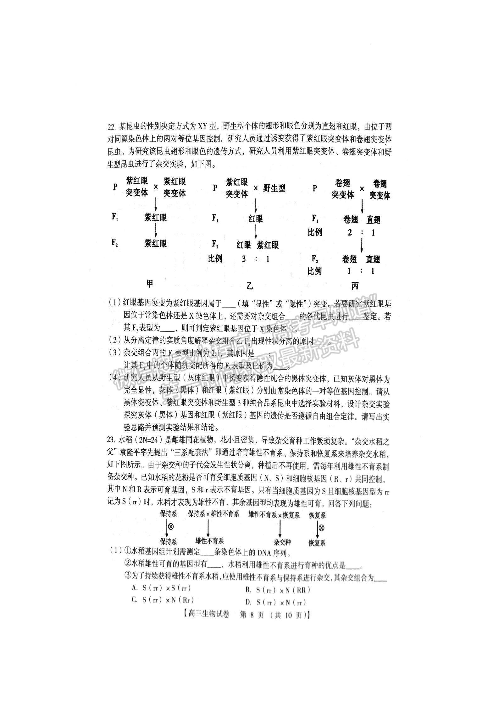 三门峡市2023-2024学年全市高三上学期期末教学质量检测生物试卷及参考答案