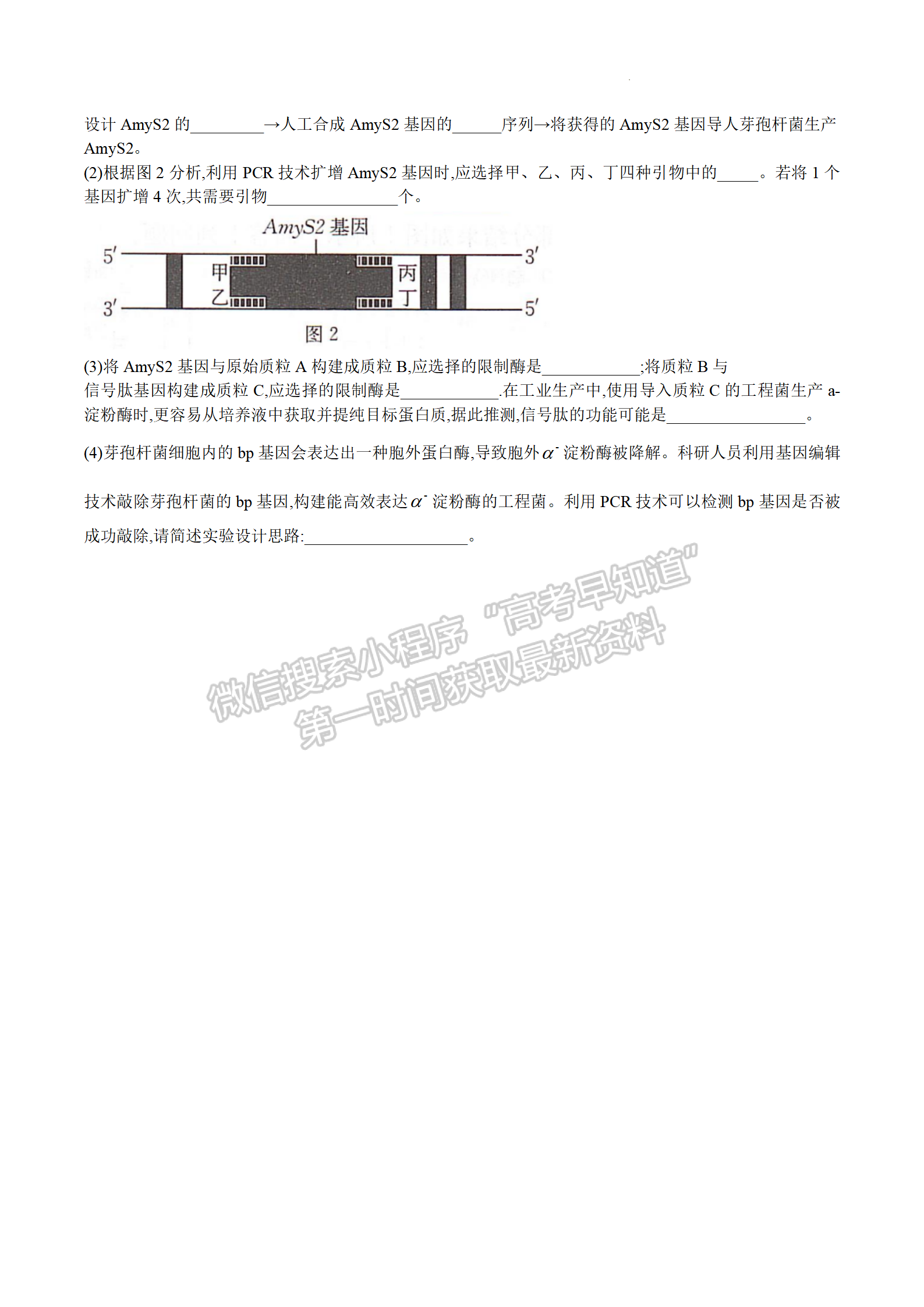 2024屆湖南省衡陽市高三第一次統(tǒng)一考試生物試題及答案