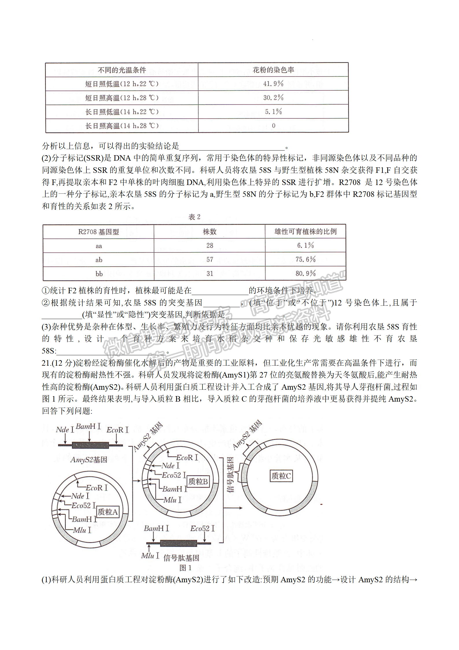 2024屆湖南省衡陽市高三第一次統(tǒng)一考試生物試題及答案