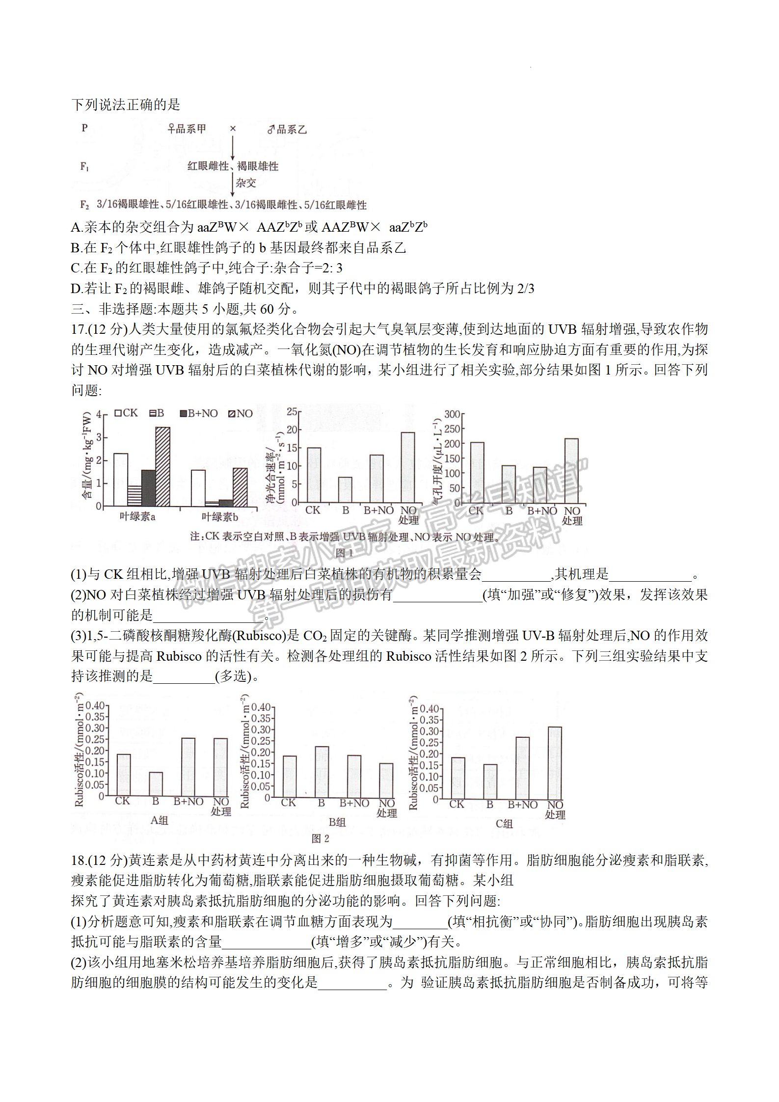 2024屆湖南省衡陽市高三第一次統(tǒng)一考試生物試題及答案