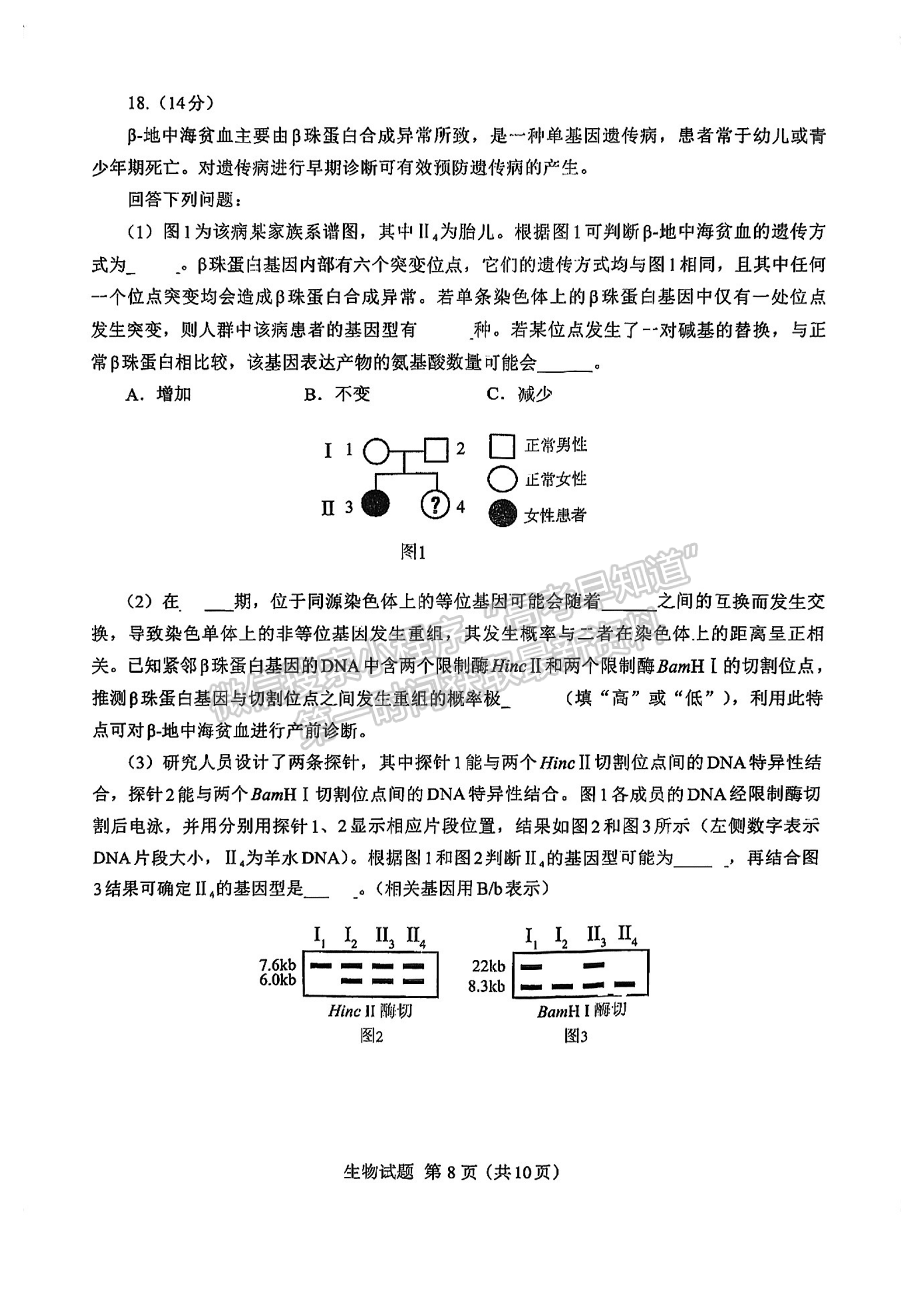 2024七市聯(lián)考生物試卷及答案