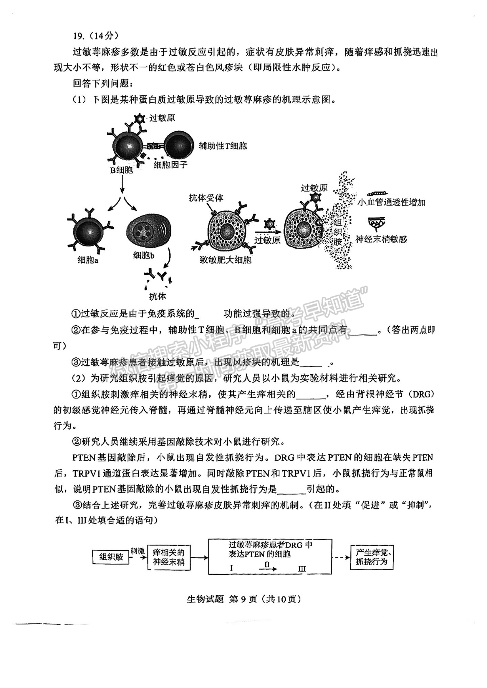 2024七市聯(lián)考生物試卷及答案